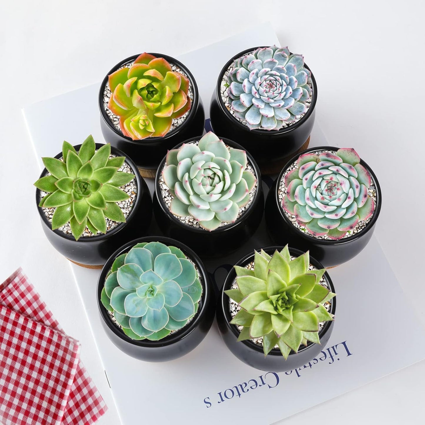 Matte Mini Ceramic Flower Planter Pot / Black / 2.6 Inch / Set of 8