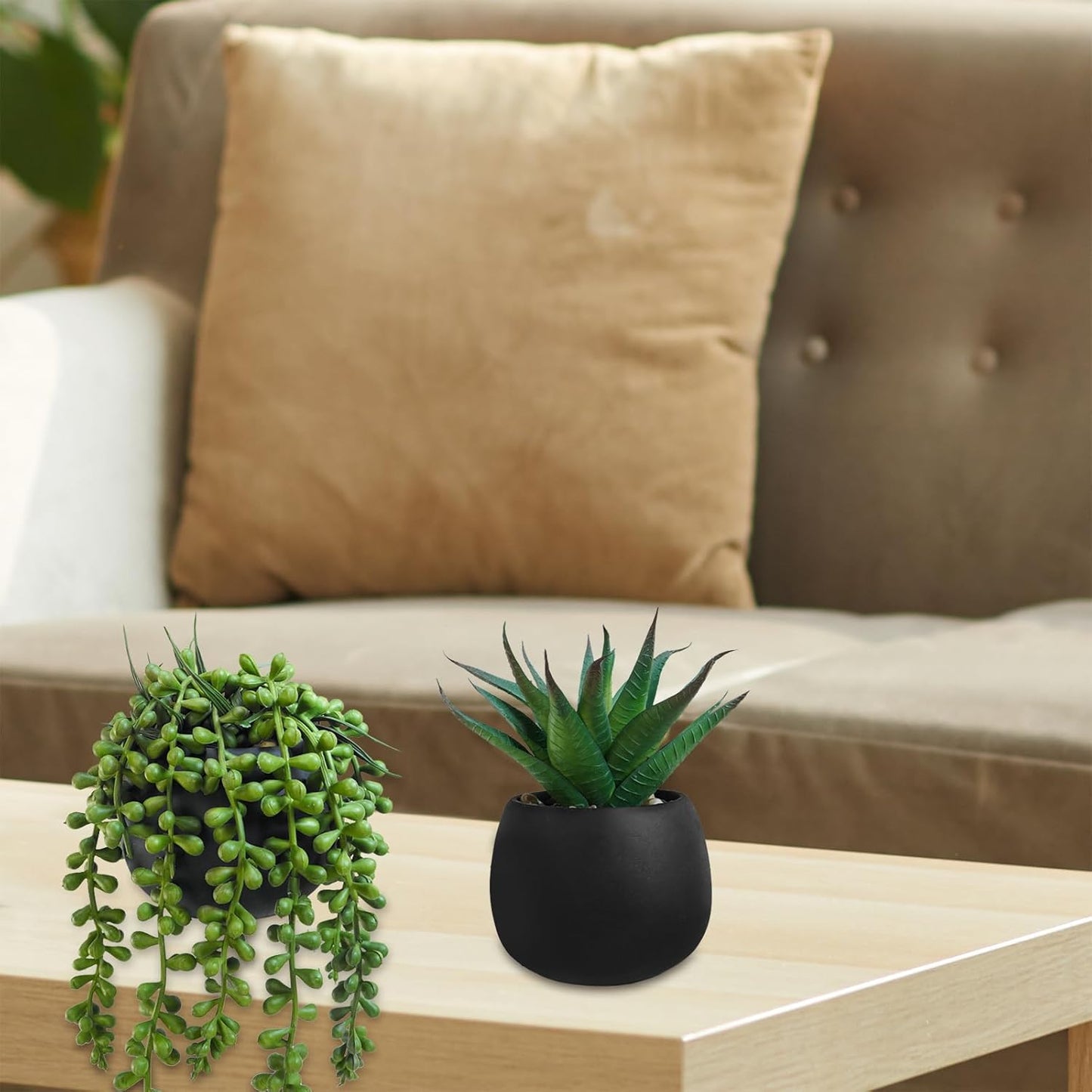 Artificial Succulent Plants in Black Concrete Pots Faux Aloe Hops String / Black Pots / Set of 3