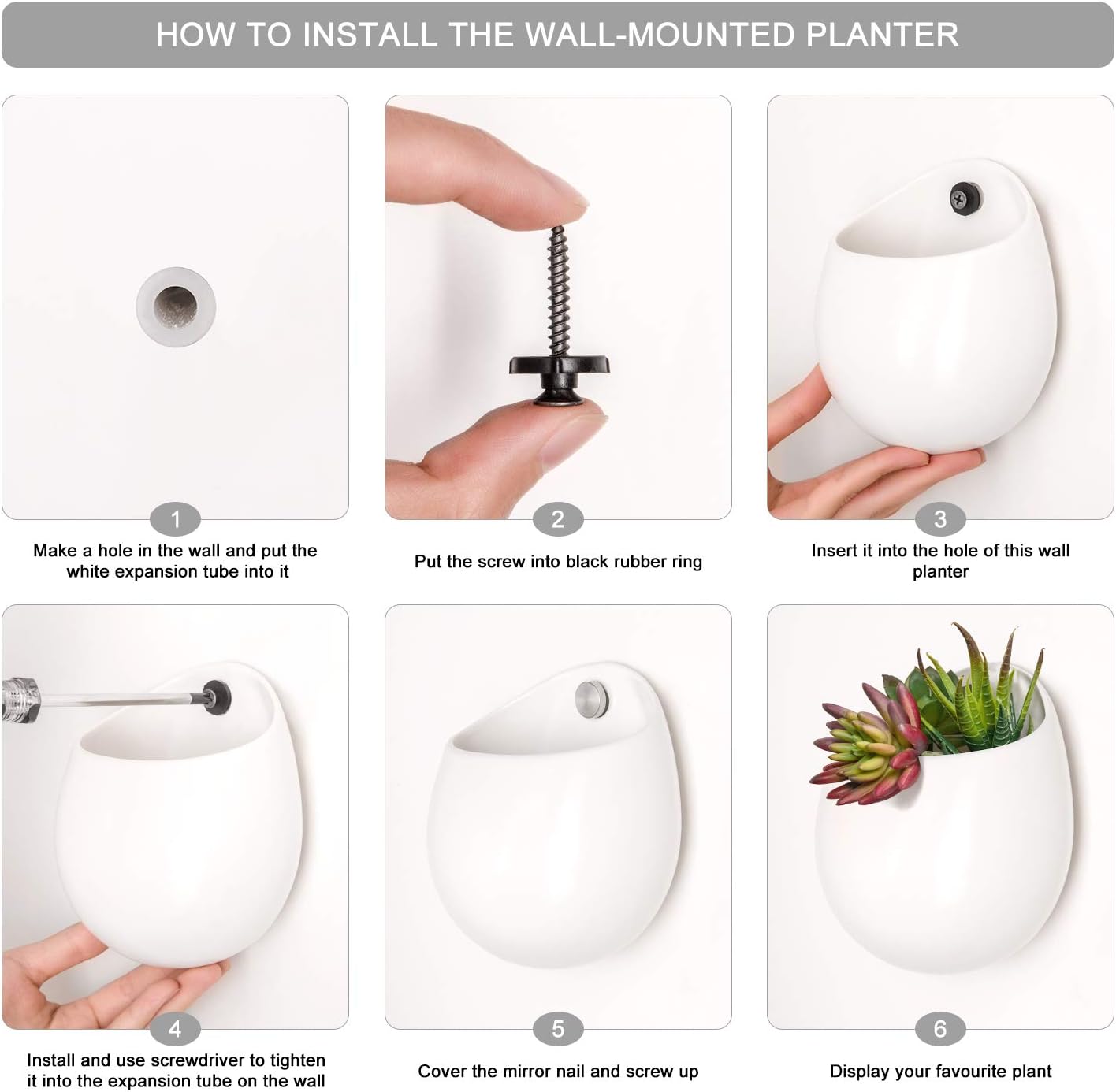 Artificial Plants / Wall Planter