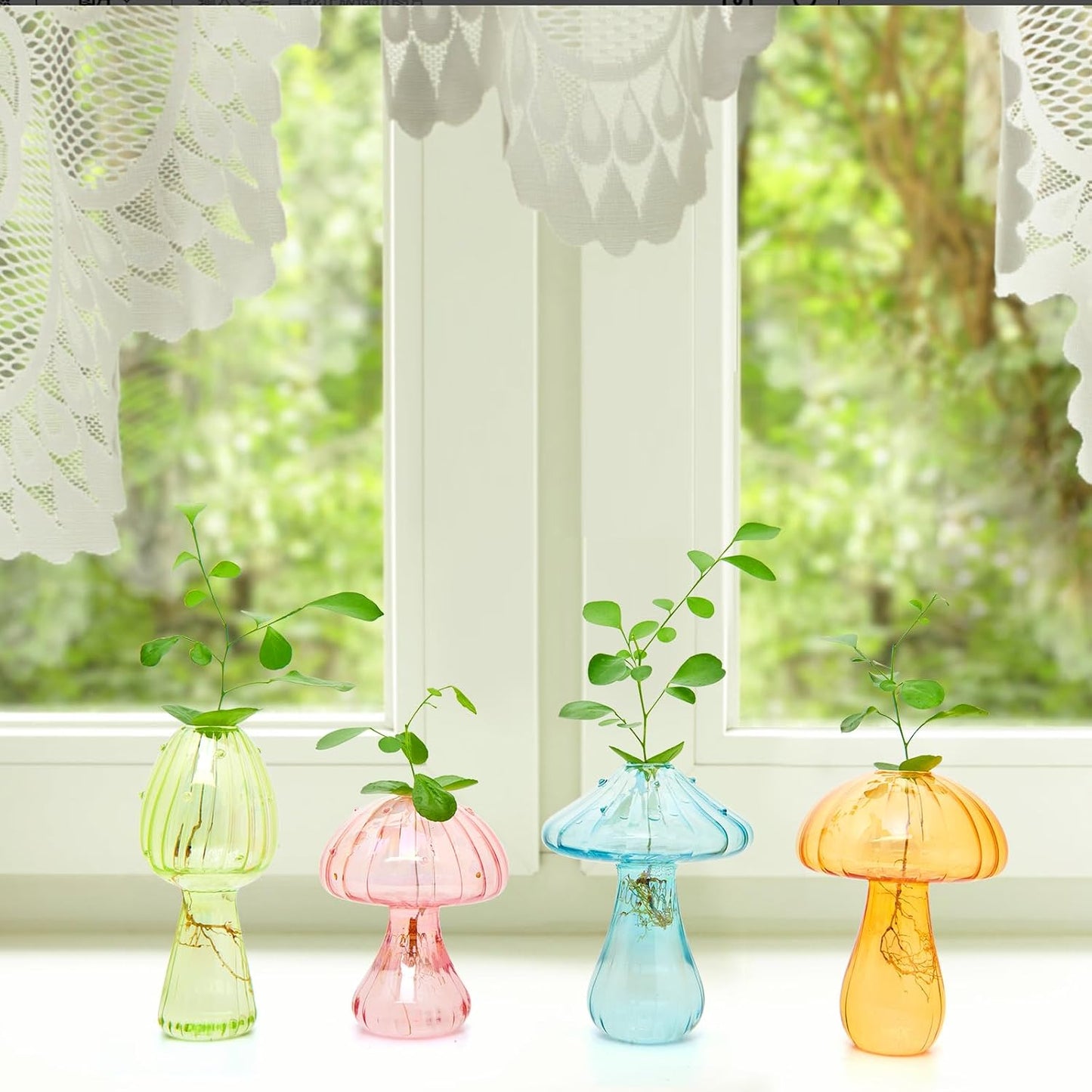 Glass Propagation Planter Window Plant Propagation Station Crystal / Mushroom Vase / Set of 4