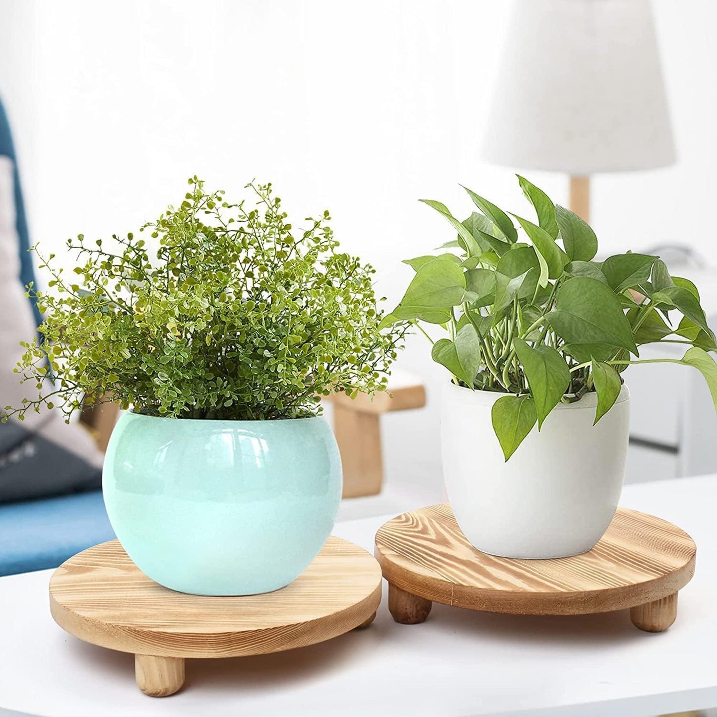 Round Wooden Tray / Round - Natural / Set of 2
