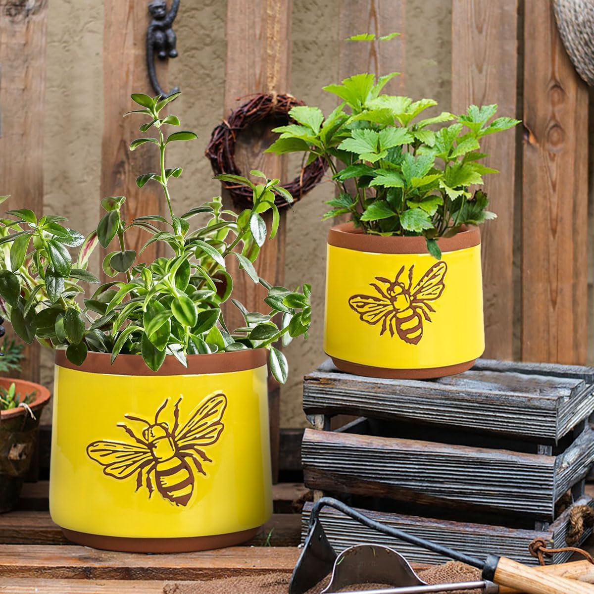 YBX Terracotta Pots / 6+4 Inch / Yellow