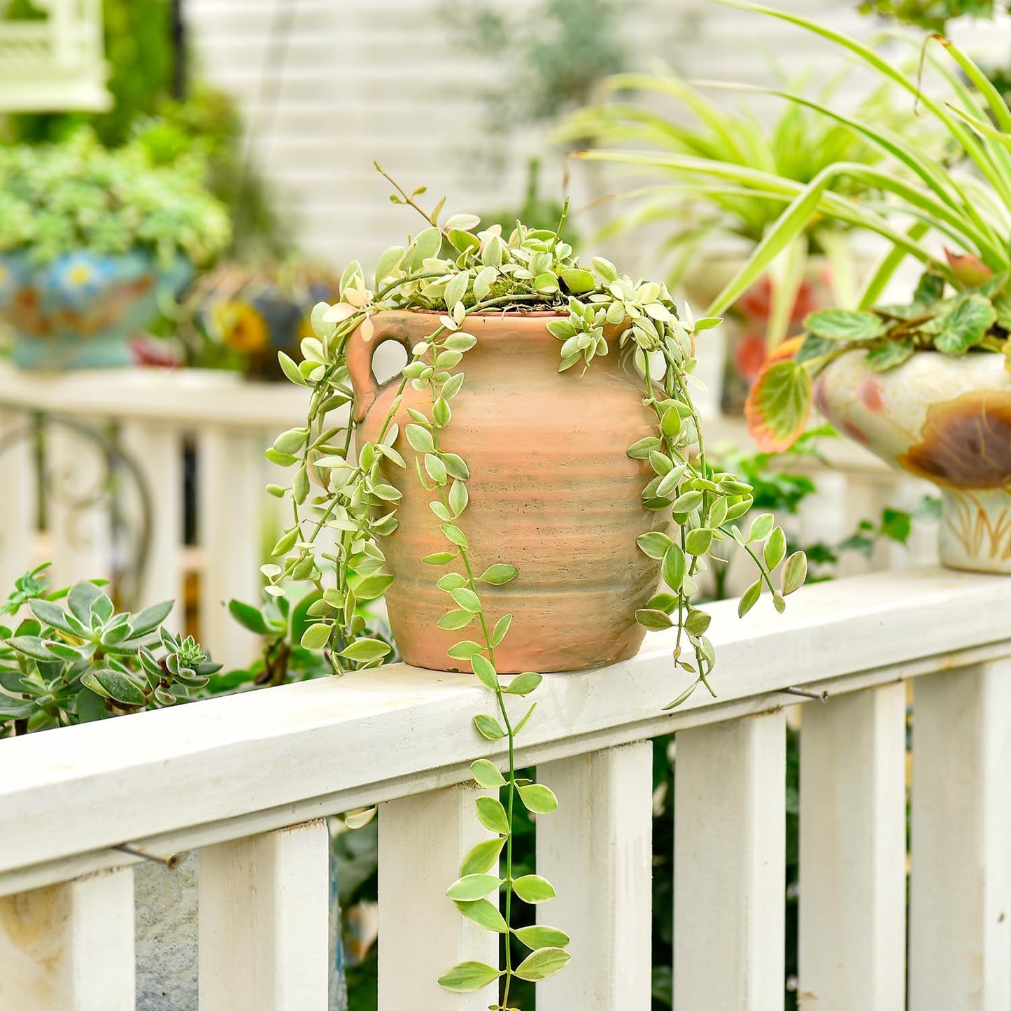 Rustic Ceramic Flower Vase / Style 2 - 6.8 Inch Tall / 7 Inch