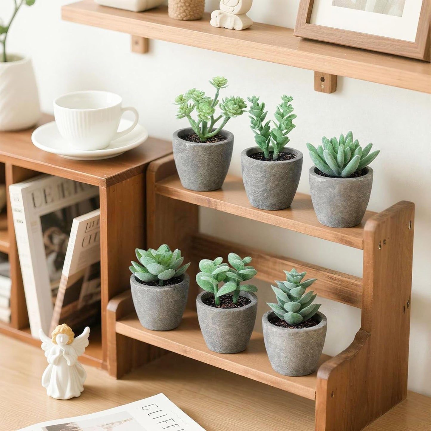 Artificial Succulent Plants Potted / Green / Set of 6