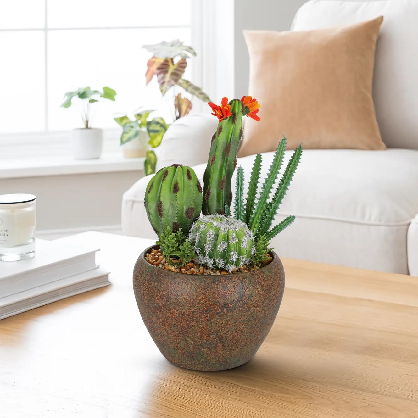 Assorted Artificial Cactus Plants Indoor