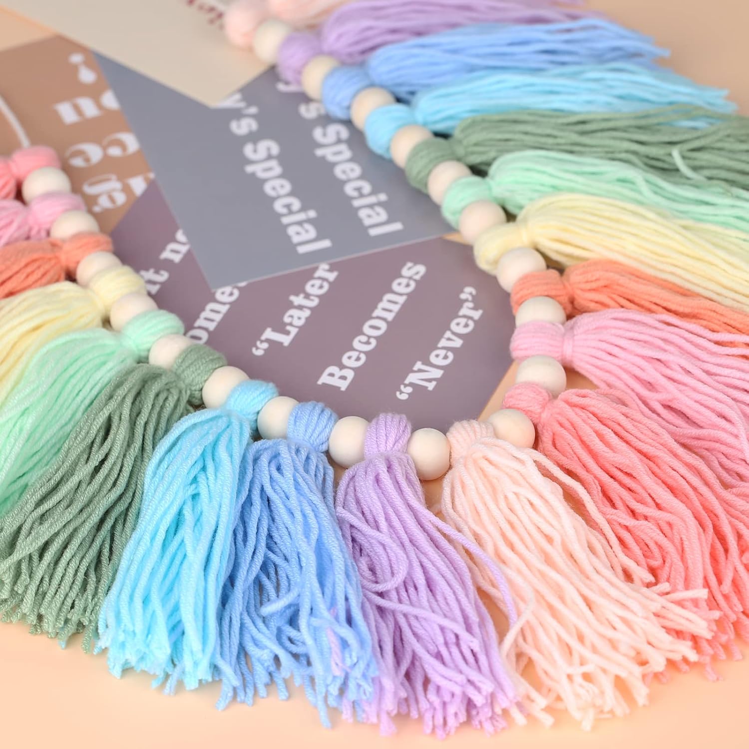 Boho Tassel Garland / C