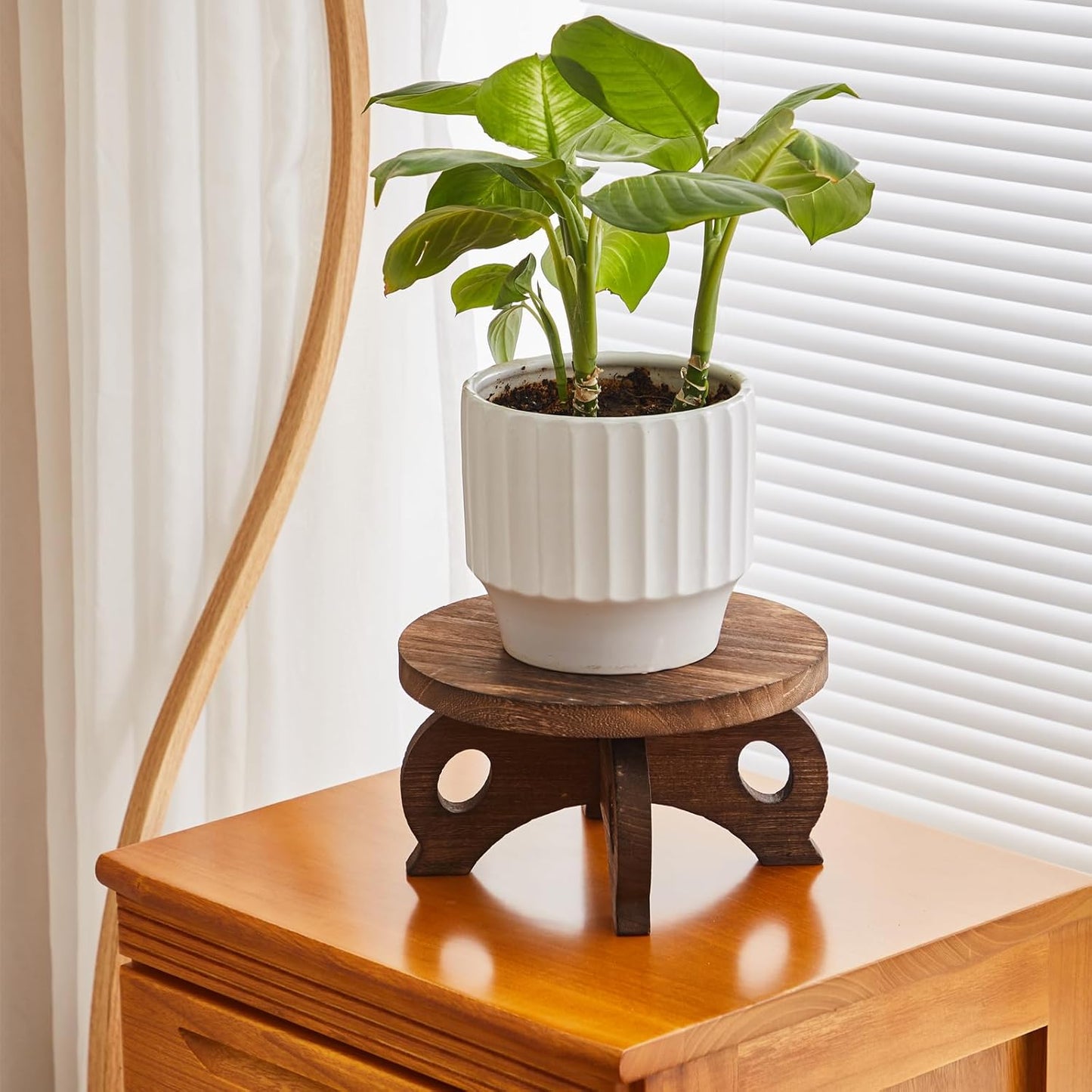 Plant Stand Indoor Round Risers Display Stands Decorative Table for Flowers Stand / Brown / Wood