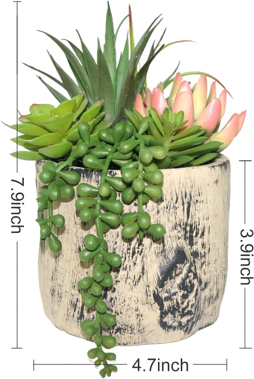 Succulents Plants Artificial / 7.9