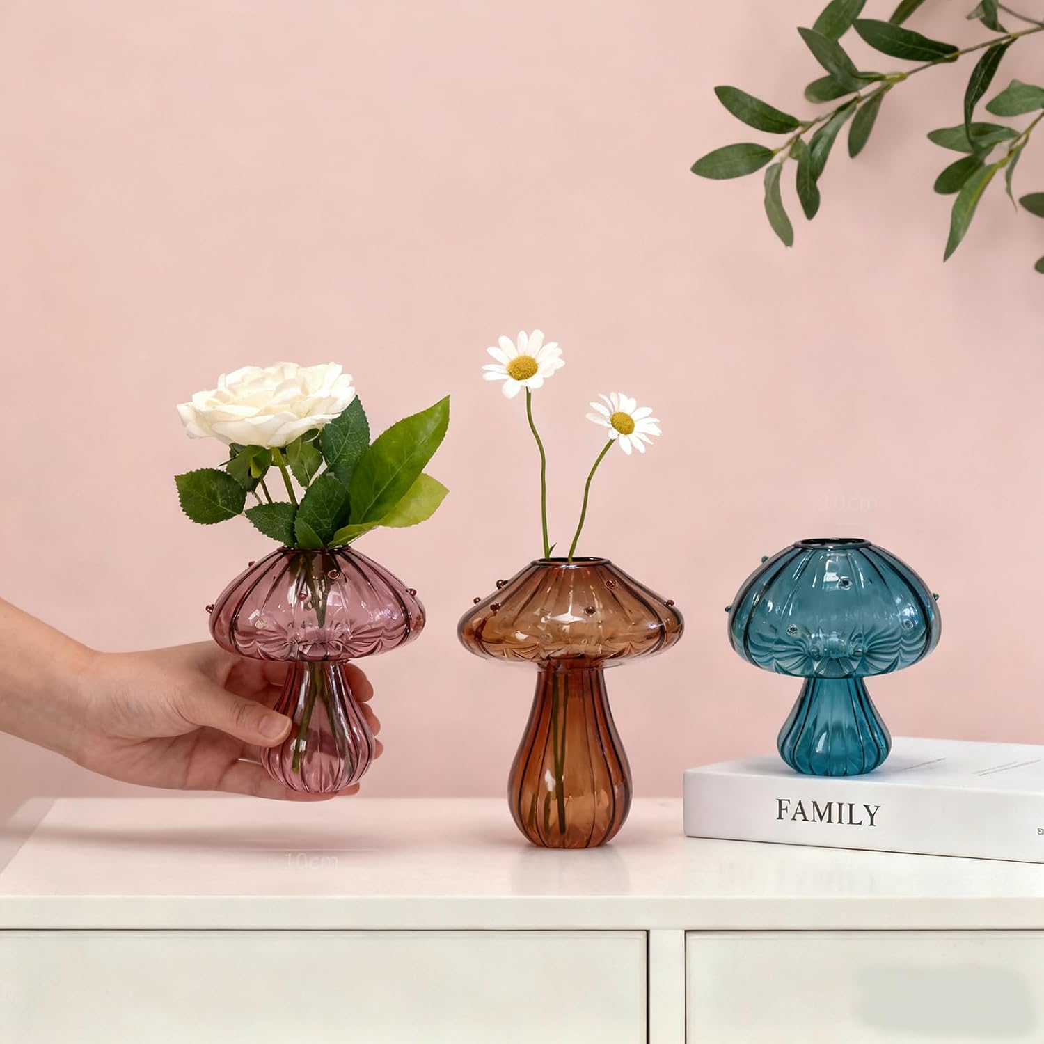 Glass Mushroom Propagation Planter / Set of 3