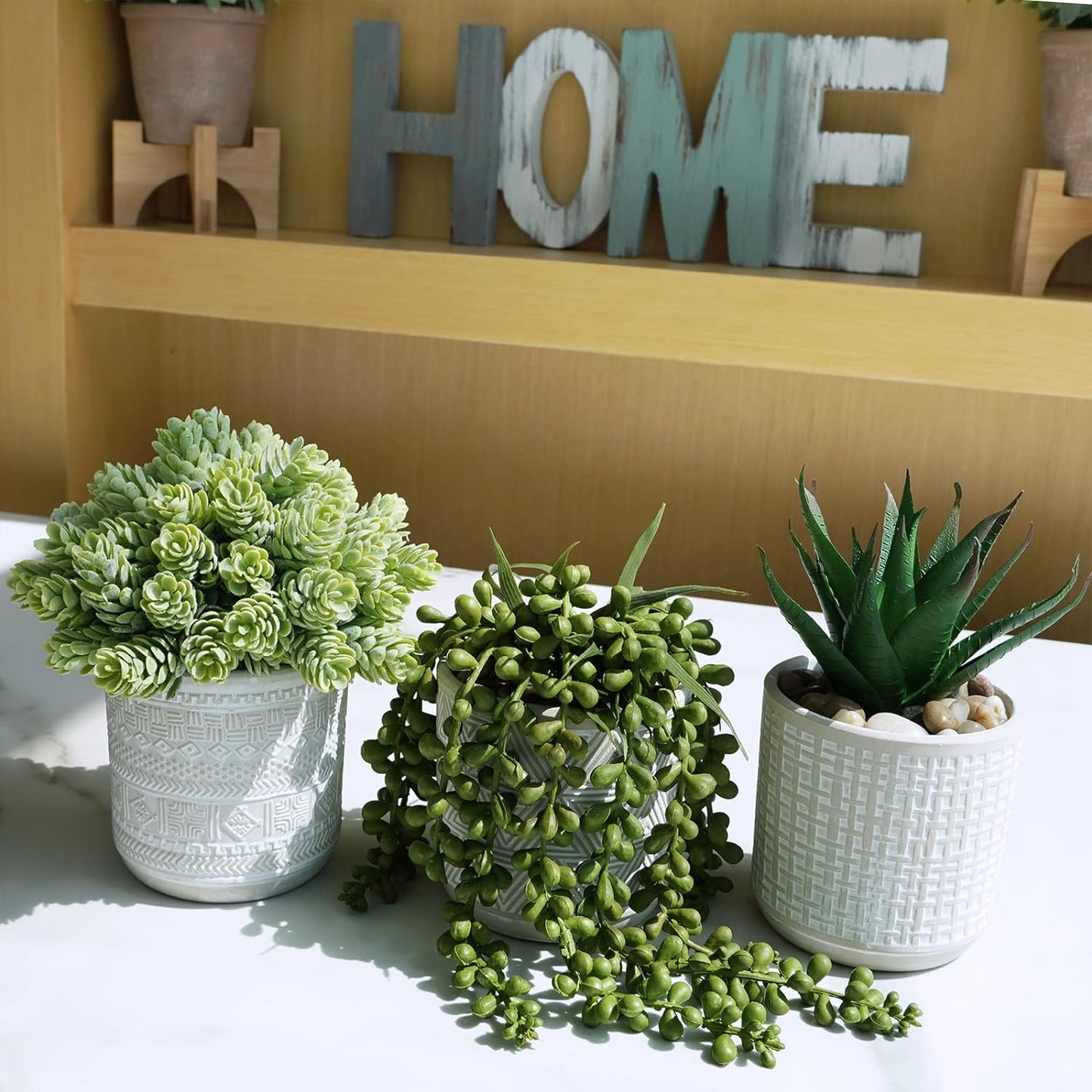 Assorted Small Potted Succulent Plants Fake Aloe String of Pearls Hops Succulents / Gray / Set of 3