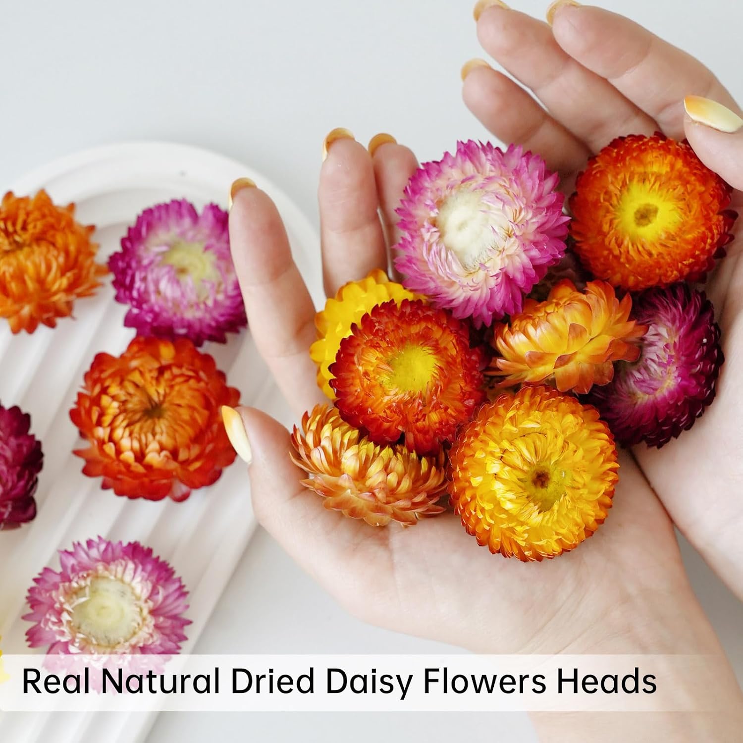 Dry Flower Arrangements / Natural / Set of 40