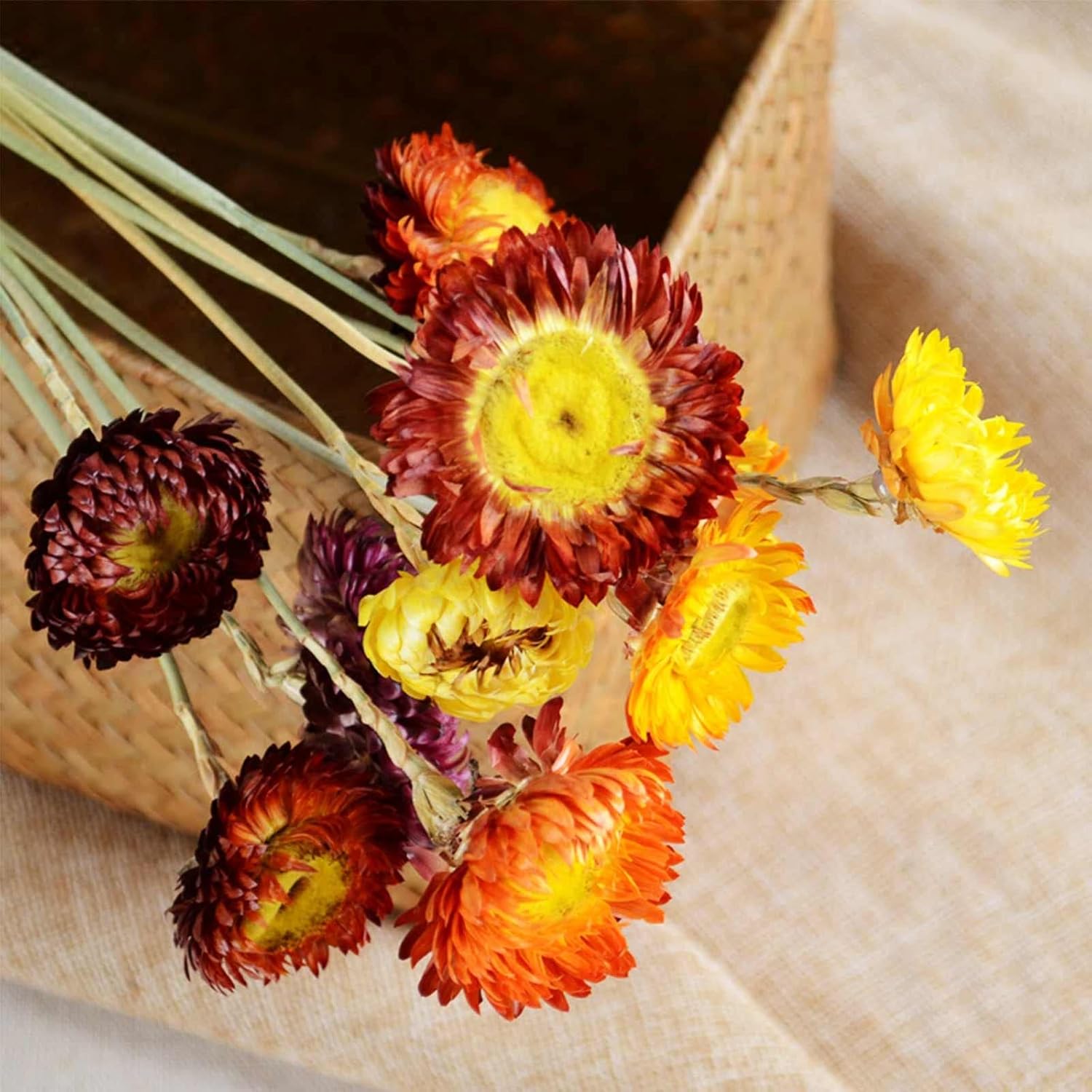 Dry Flower Arrangements / Multi Color / Natural / Set of 20