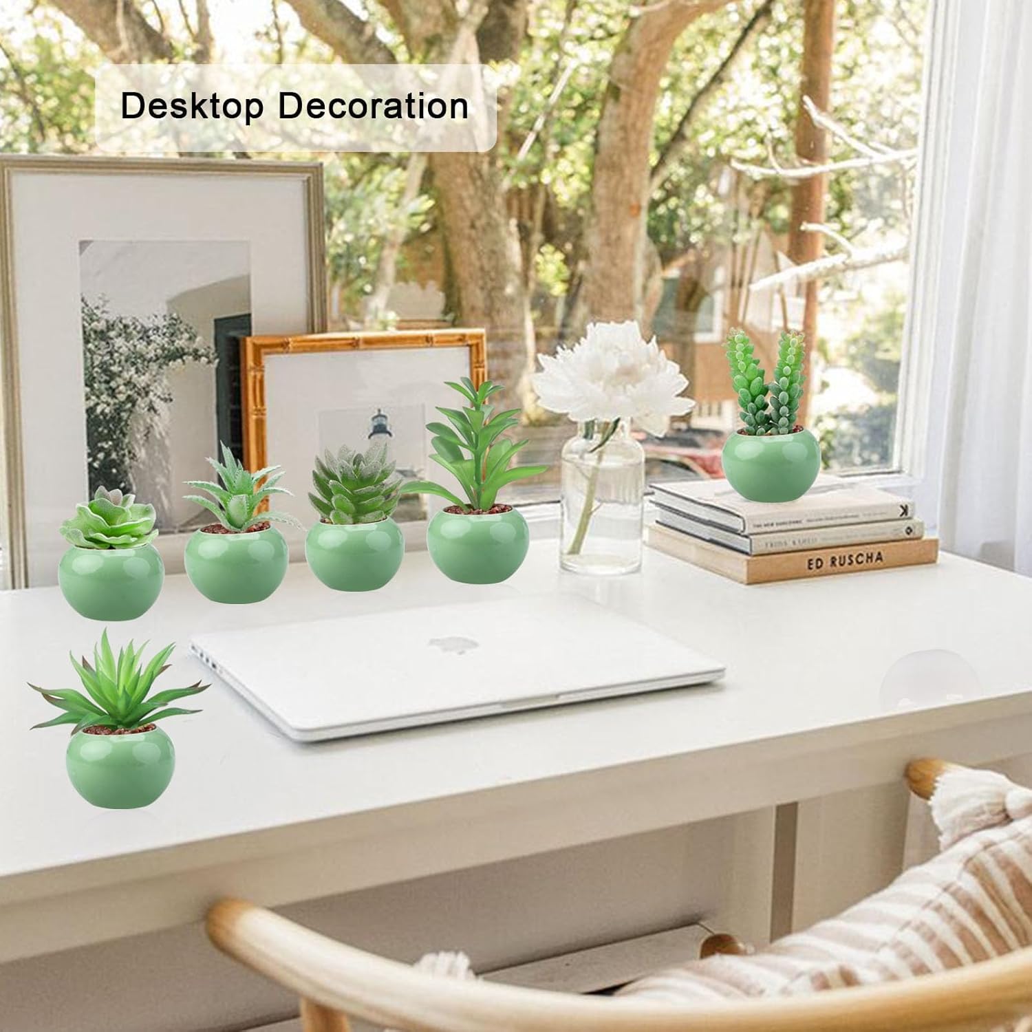 Small Artificial Succulent Plants Bulk in Ceramic Pots / Green-ceramic Light Green Pot / Set of 6