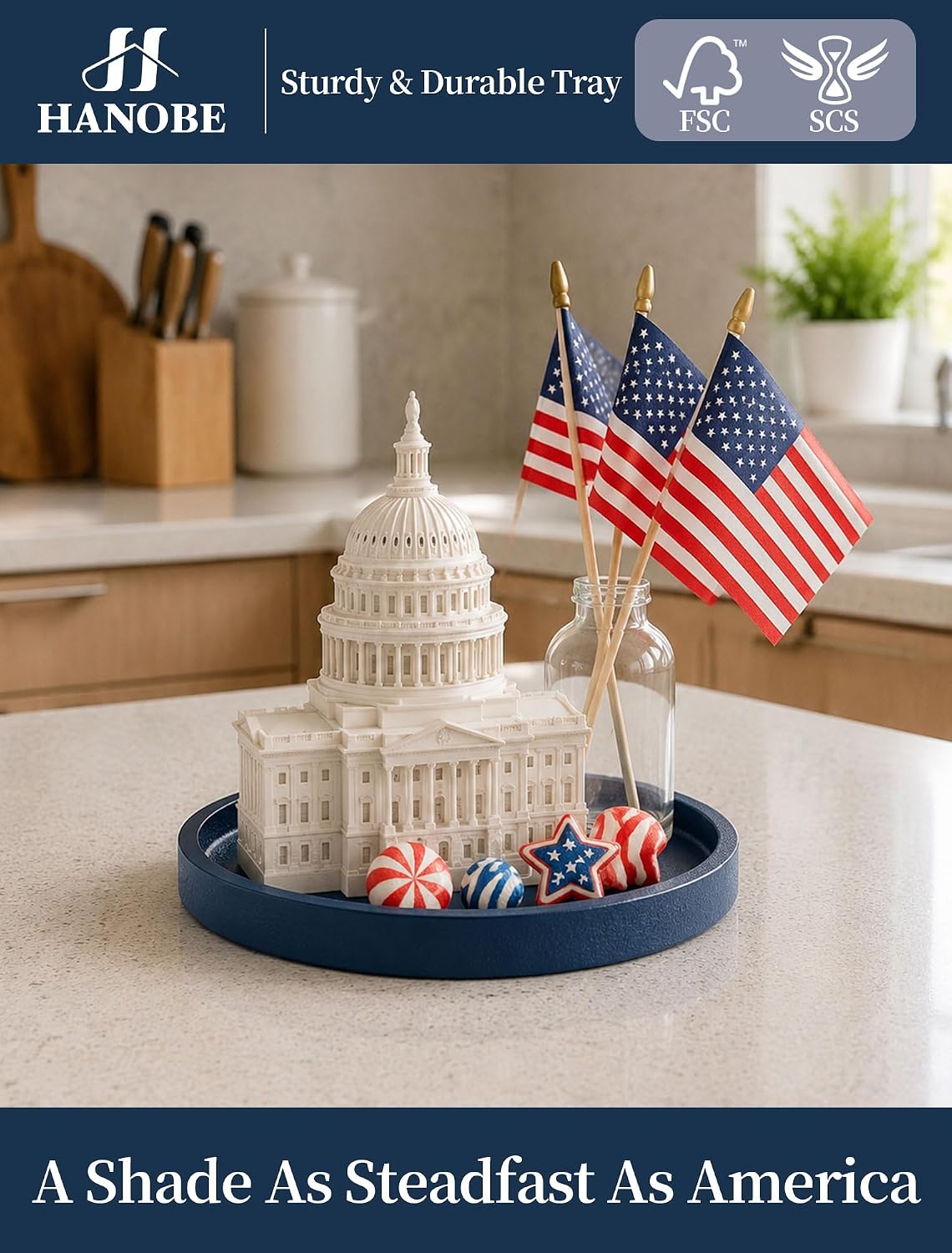 Round Tray / Decorative Trays / Navy Blue