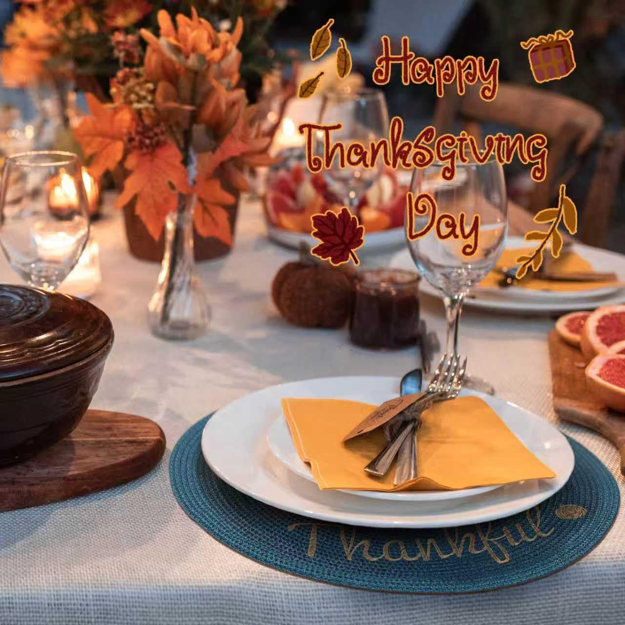 FunWheat Round Placemats Set of 6 Table Mats for Thanksgiving Tables Washable Non-Slip Place mats 15 Inch for