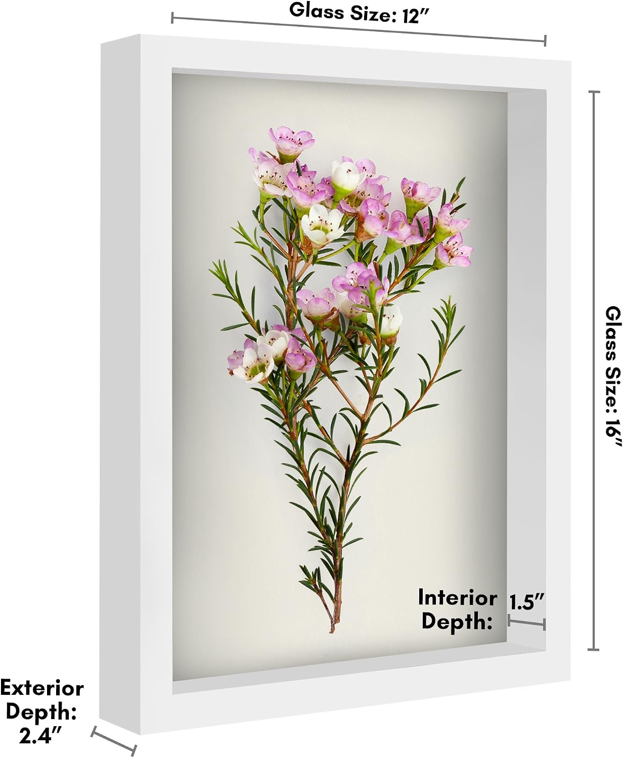 Americanflat 12x16 Shadow Box Frame - Engineered Wood - White | Polished plexiglass front, 1.5 inch interior depth