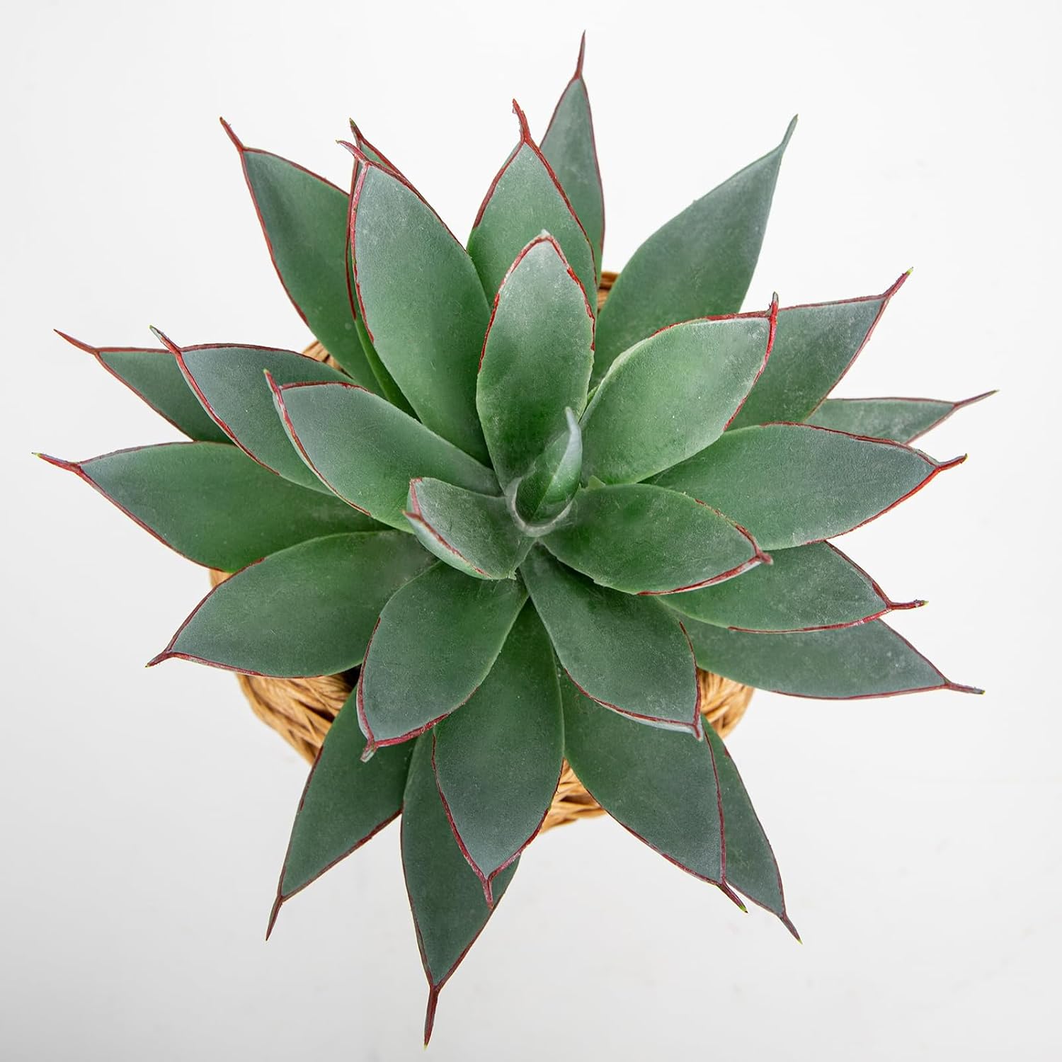 Succulents Plants Artificial / Aloe-wicker Basket