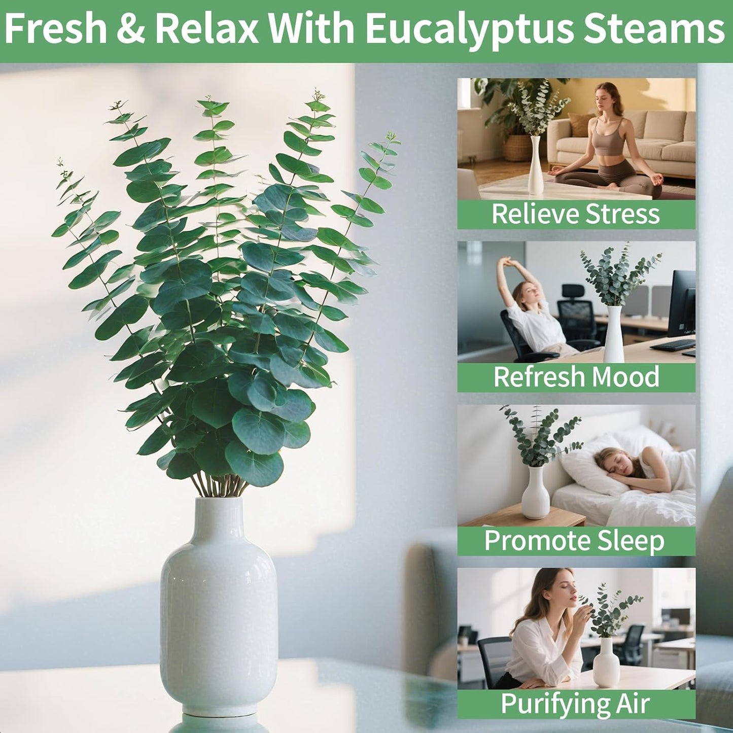 17'' Real Eucalyptus Stems 100% Fresh Leaves Hanging / Dried Eucalyptus Bundle / Natural / Set of 12