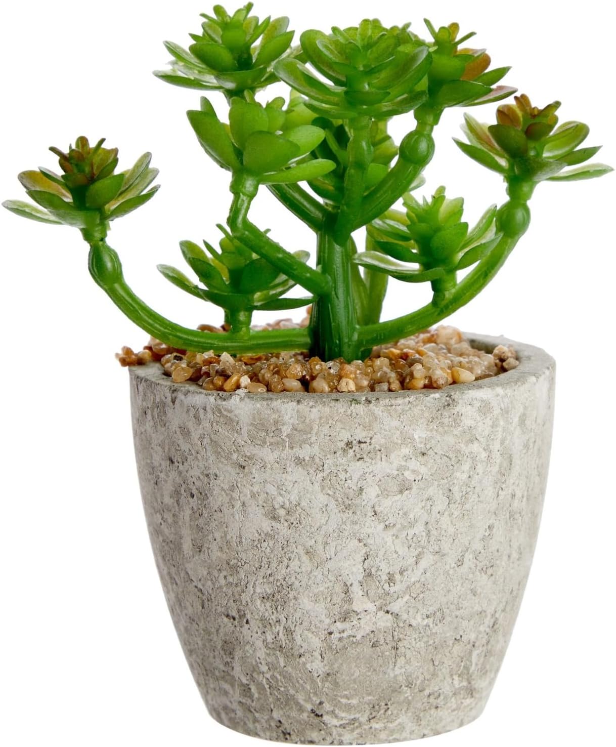 Maintenance-Free Artificial Plants