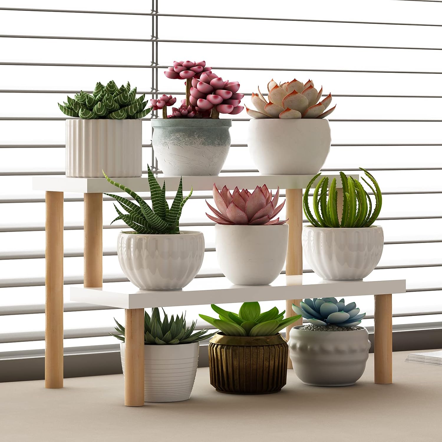 Wood Display Stand for Succulent / 2 Tiers