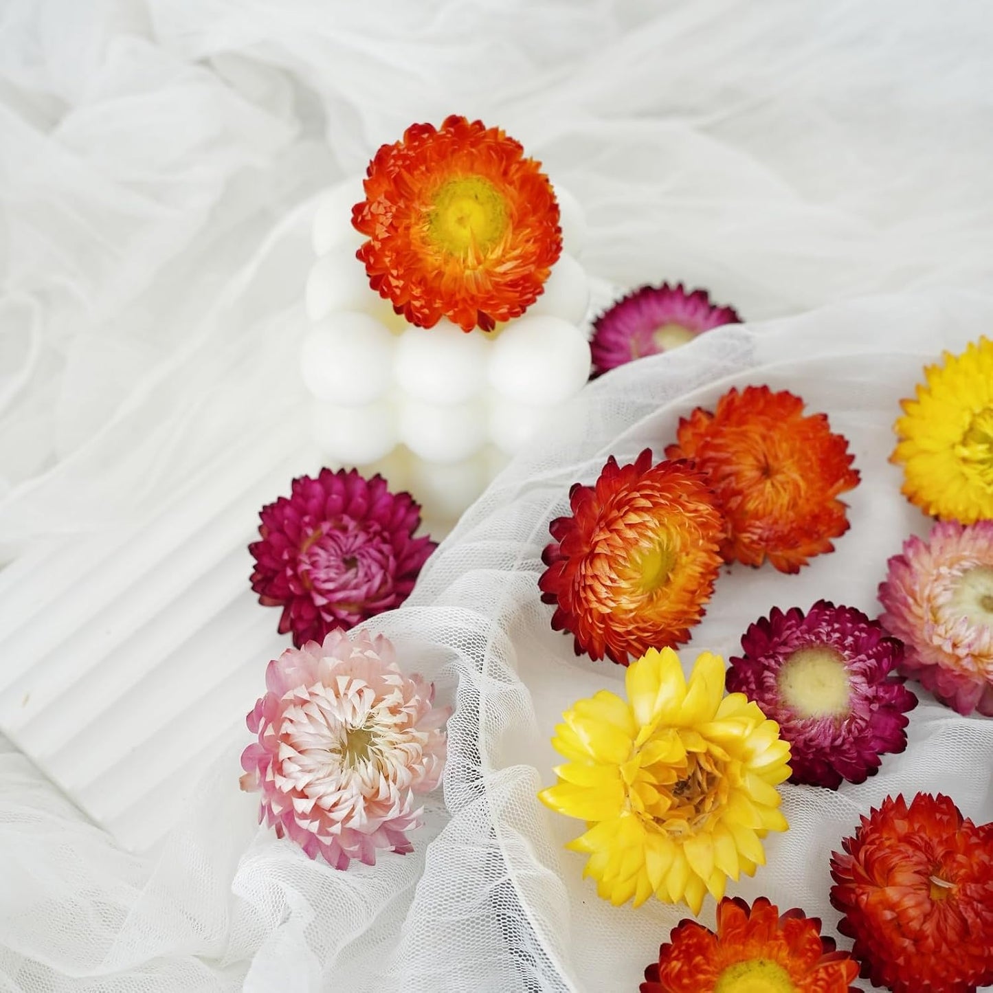 Dry Flower Arrangements / Natural / Set of 40