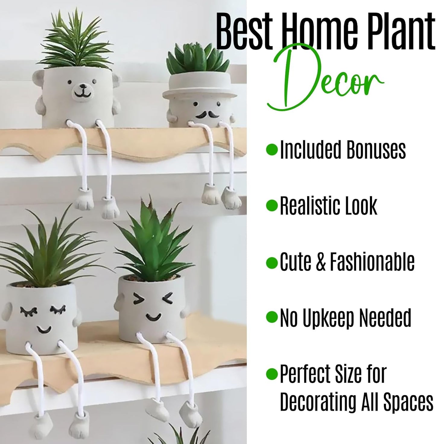 Faux Plant / Desk Plants / Shy Grandpa