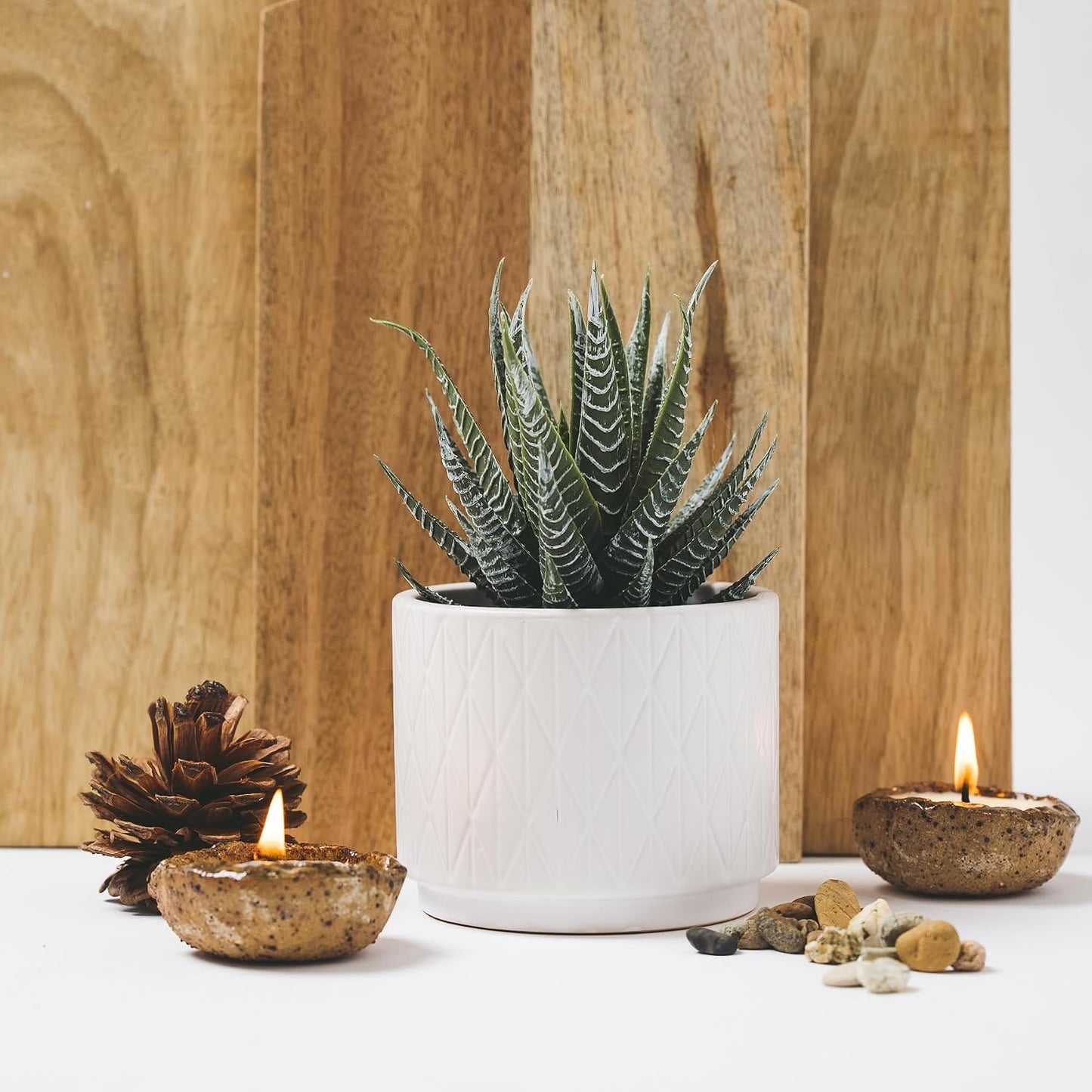 Artificial Succulent Plant in Matte Ceramic Pot / White