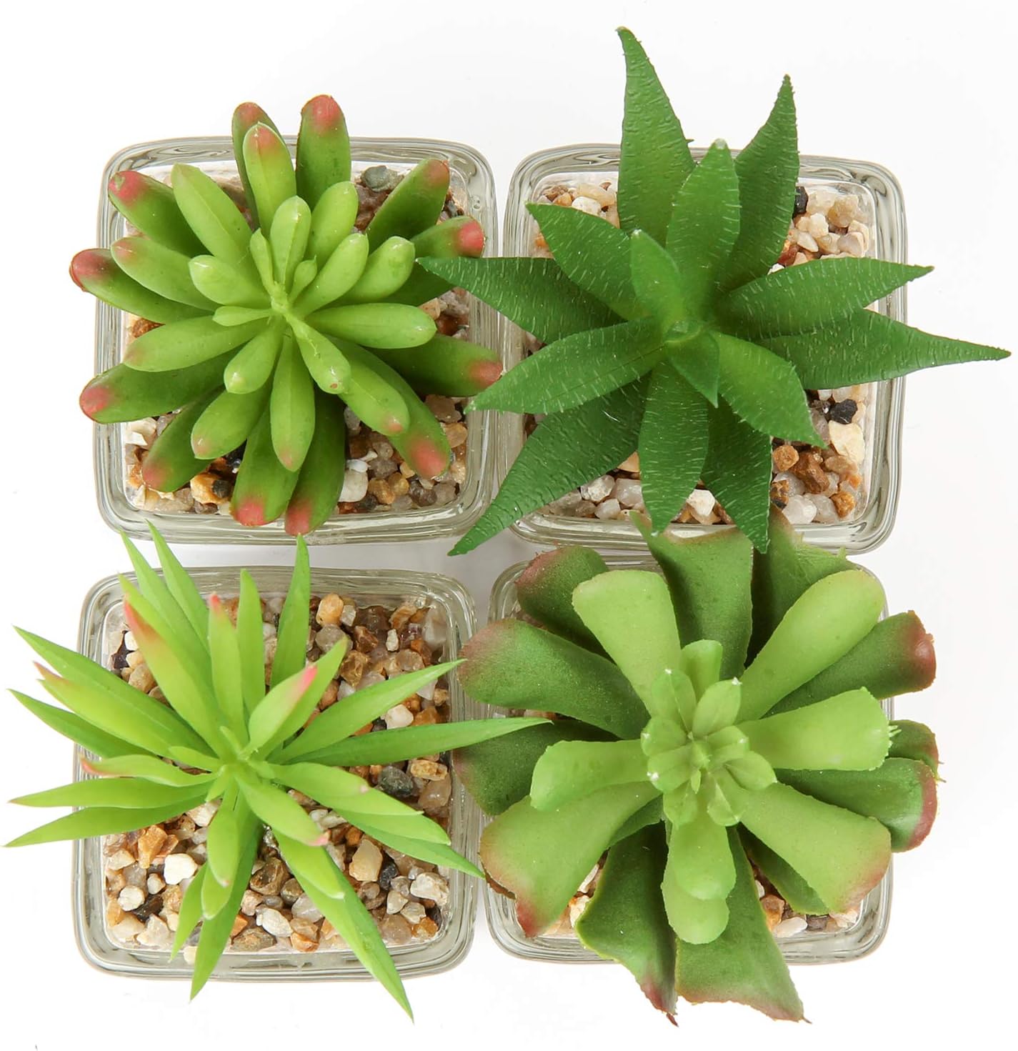 Succulents Plants Artificial in Glass Pots Small Fake Succulents / Succulents #03 / Clear / Set of 4