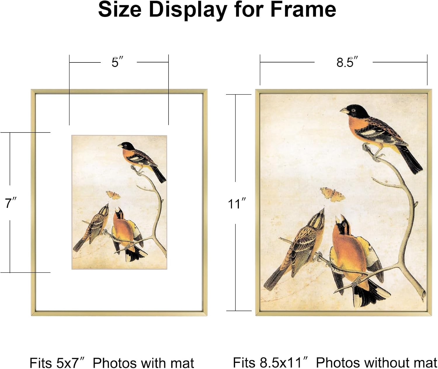 BKABOT 8.5x11 Brass Metal Photo frames 3 Pack HD Glass Mat 5x7 Wall Table | Thin brushed aluminum Picture