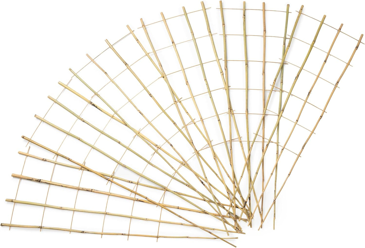 SWANGSA 6 Pack 4Ft Bamboo Trellis for Climbing Plants, Fan-Shaped Garden Ladder Trellis with 100pcs Twist Ties for