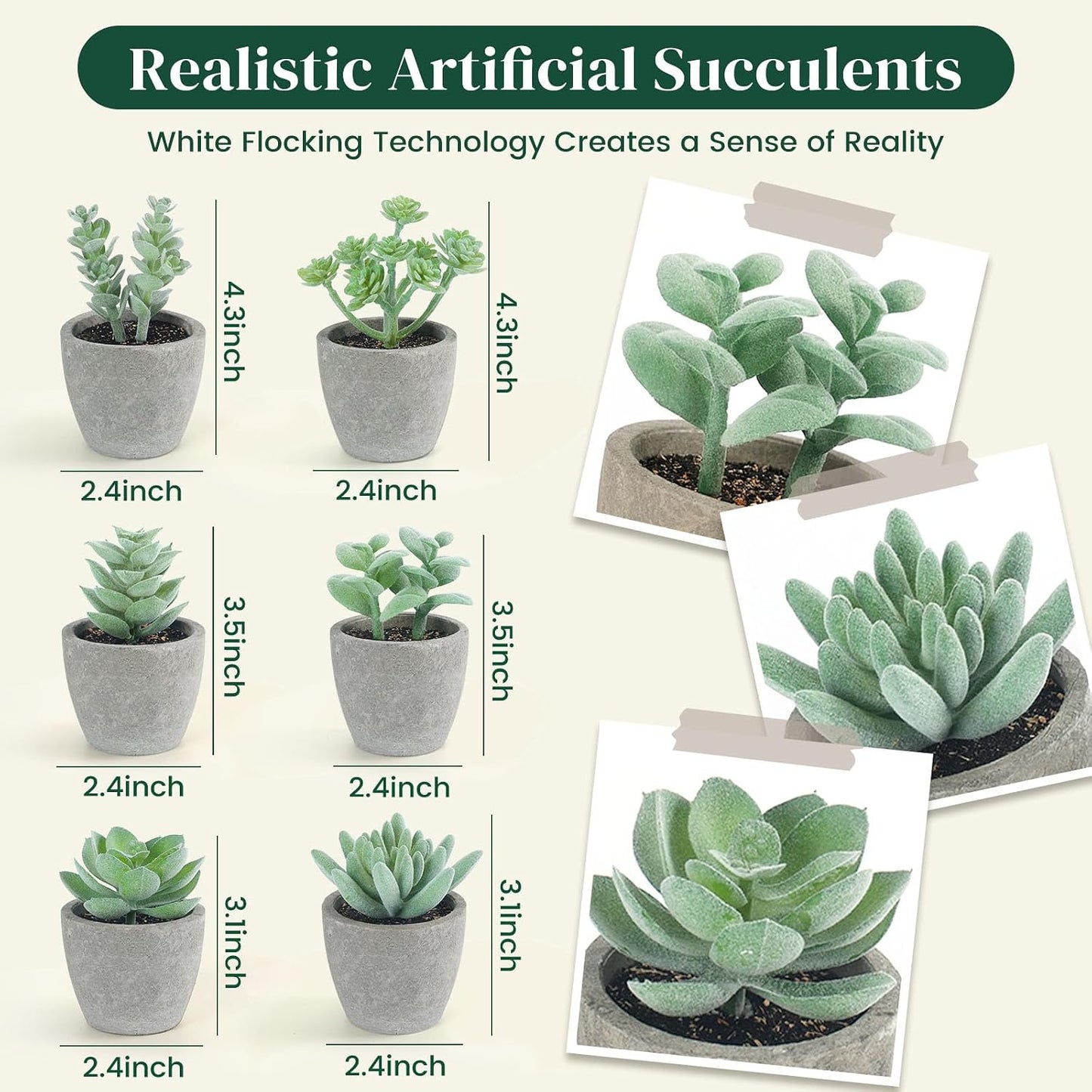 Artificial Succulent Plants Potted / Green / Set of 6