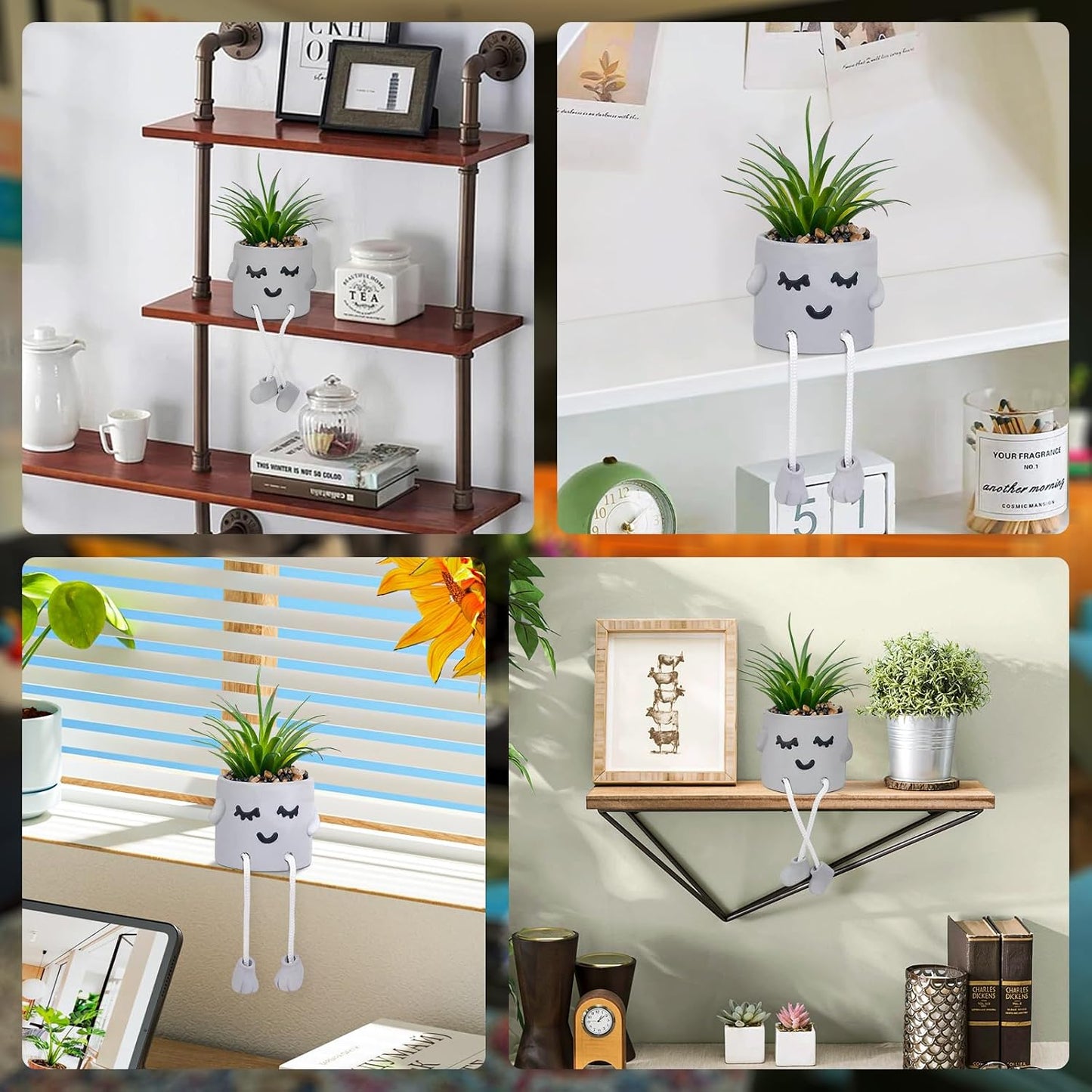 Artificial Succulents Plants in Cement Pots / Shy