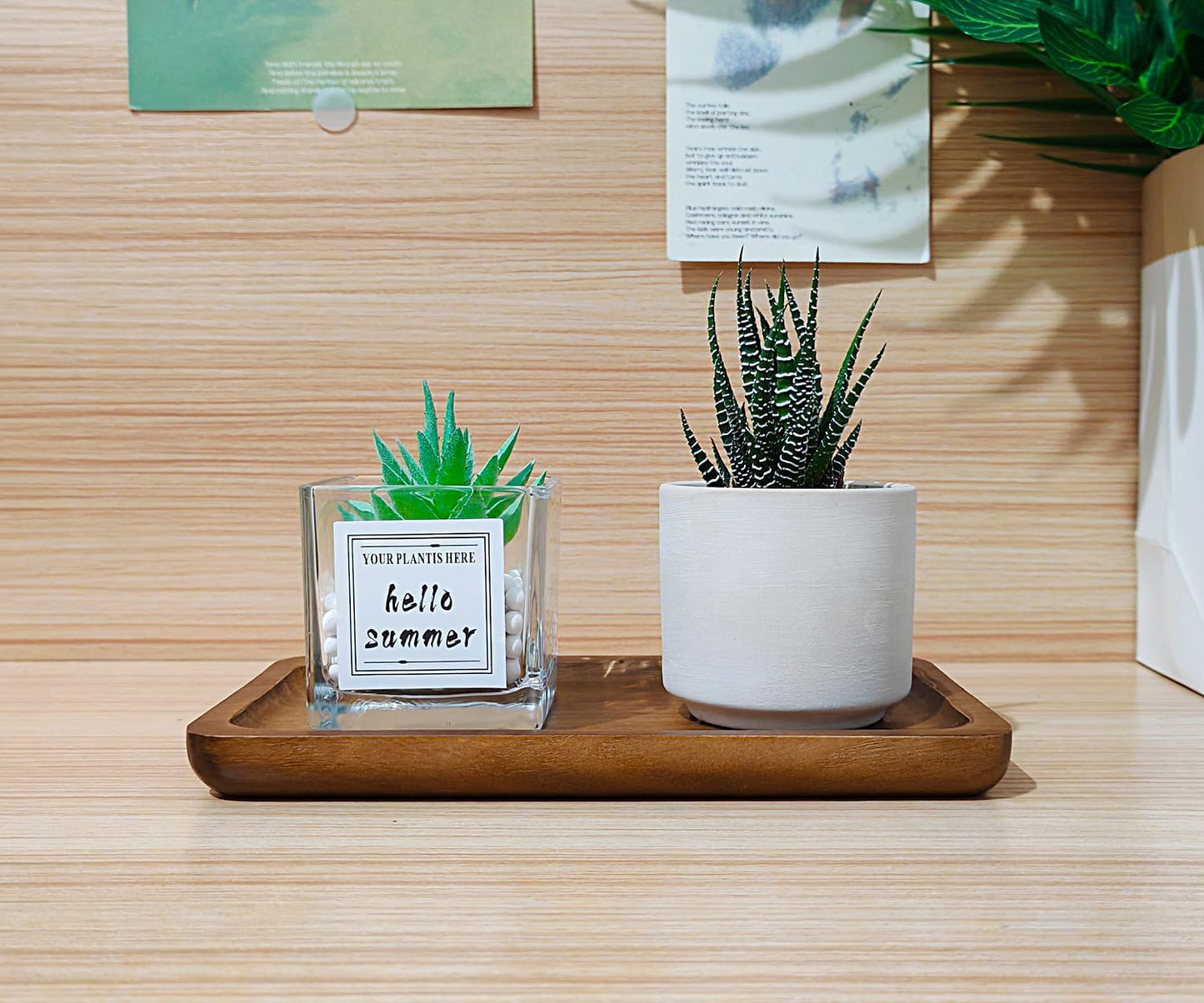 Small Wooden Tray Rectangular / Rectangular x 6 / 7.5 x 4.1 x 0.6 / Set of 6