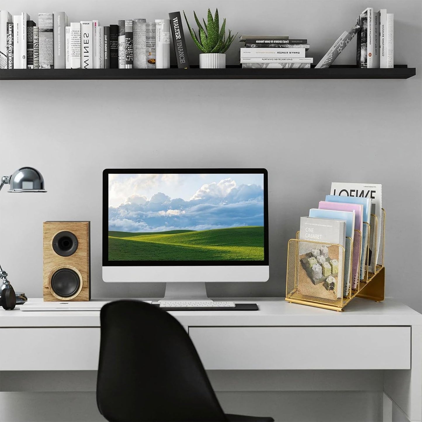 LEKETREE File Organizer for Desk, File Folder Organizer with 5-Section Vertical Rack, Suitable for Home Office Document