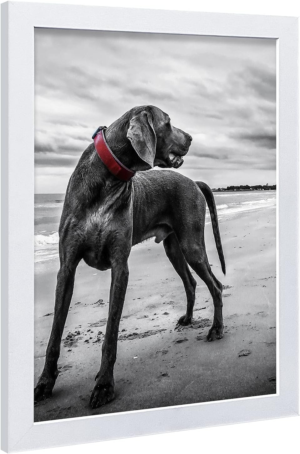VCK 18x24 Poster Frame Solid Wood White 3 Pack Picture Frames 18 x 24 Inches with Wall Mounting Hanging