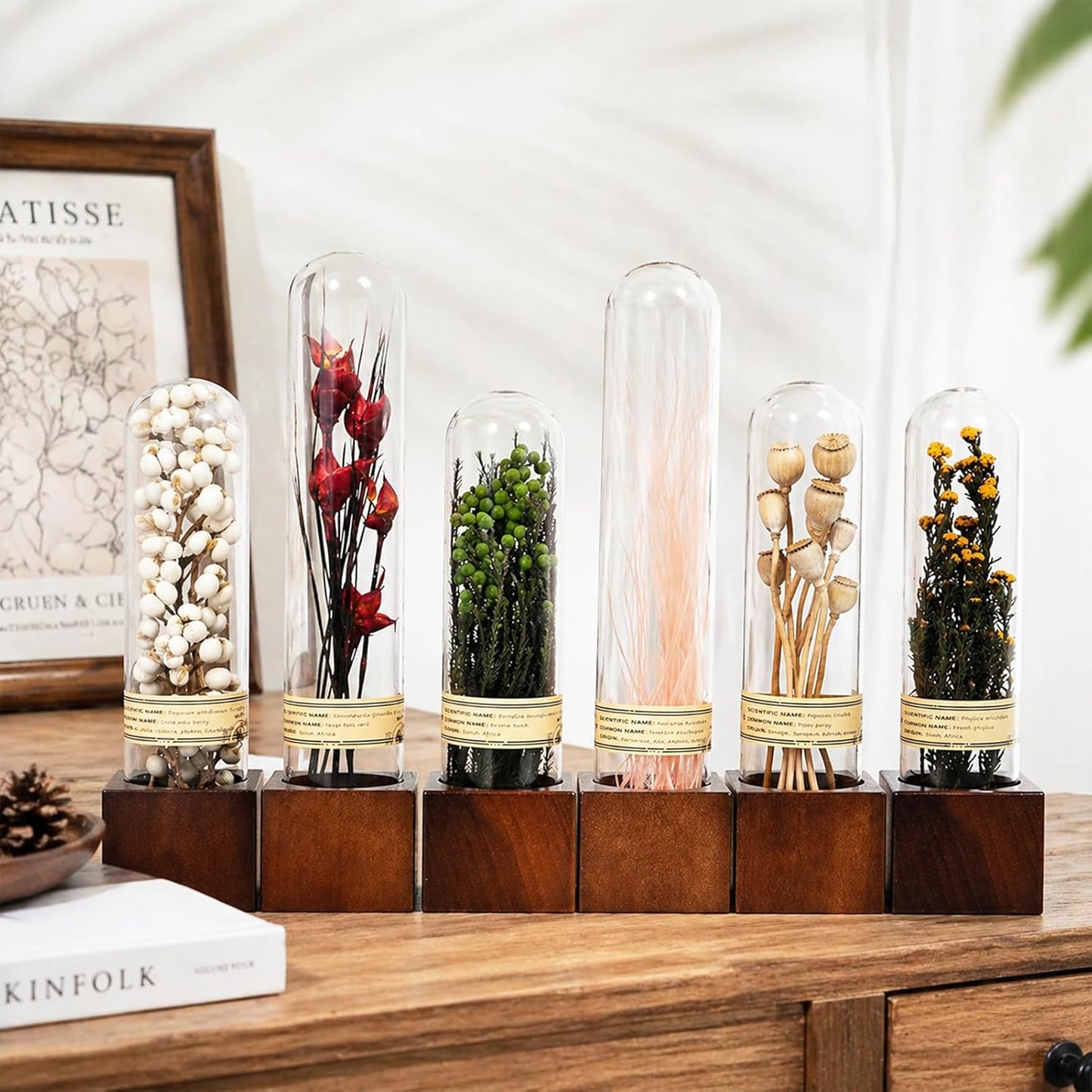 Dried Flower Decor / Earth Tones, 6-piece Set / Natural / Set of 6