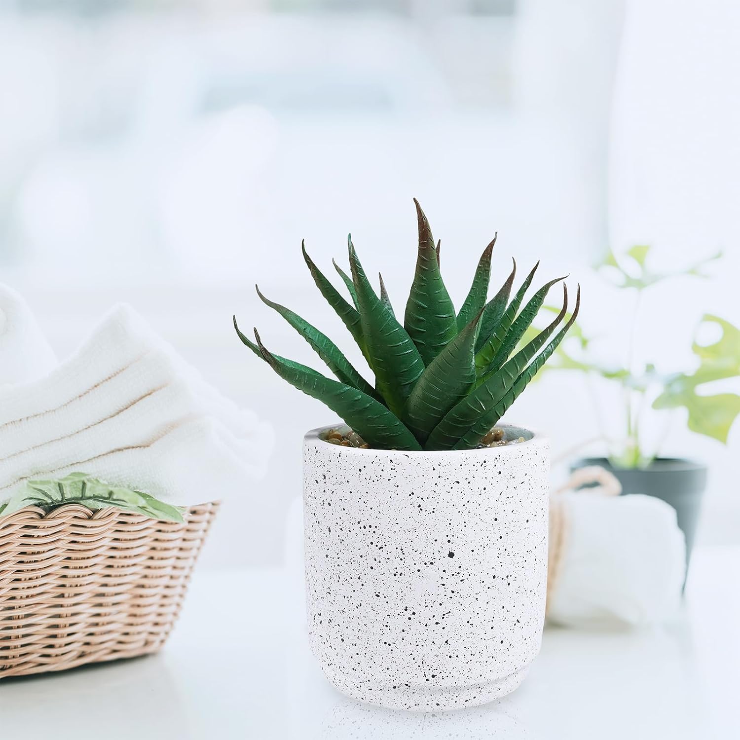 Artificial Potted Succulent Plants in Cement Planters Faux Aloe Hops String / White / Set of 3