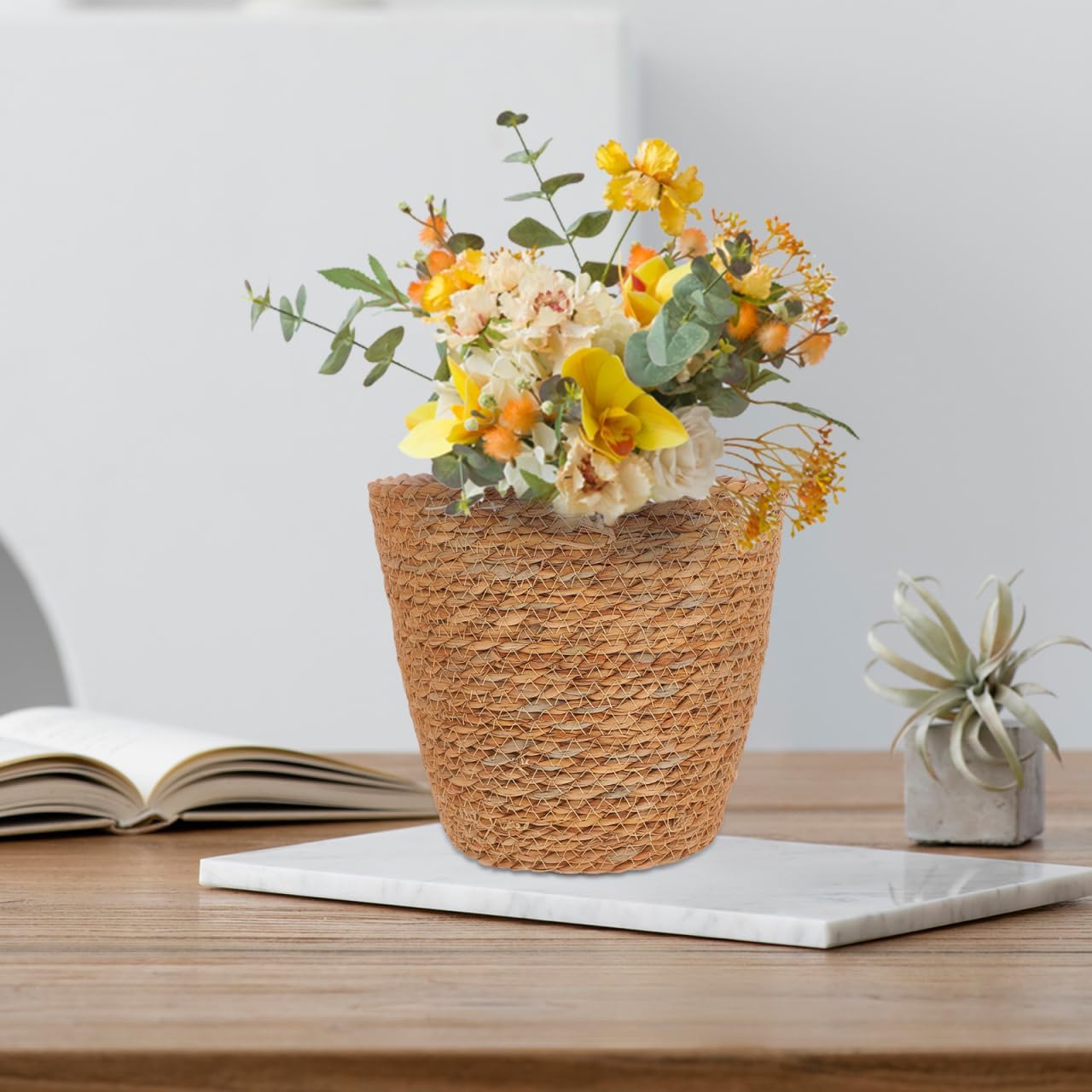 Woven Plant Basket / Set of 2