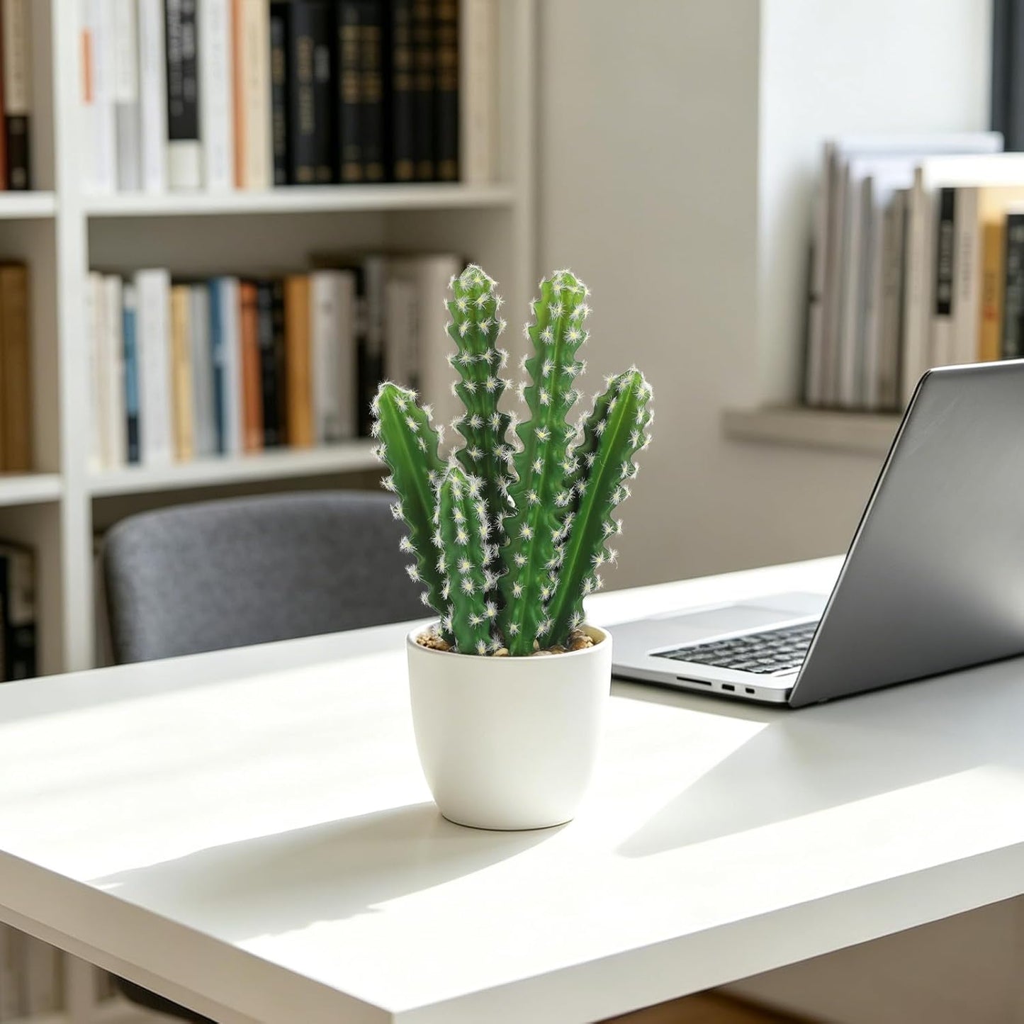 Artificial Cactus Plants Small Faux Cactus Plants Indoor Fake Desert Cacti / Sup_209 / 10.8 Inch