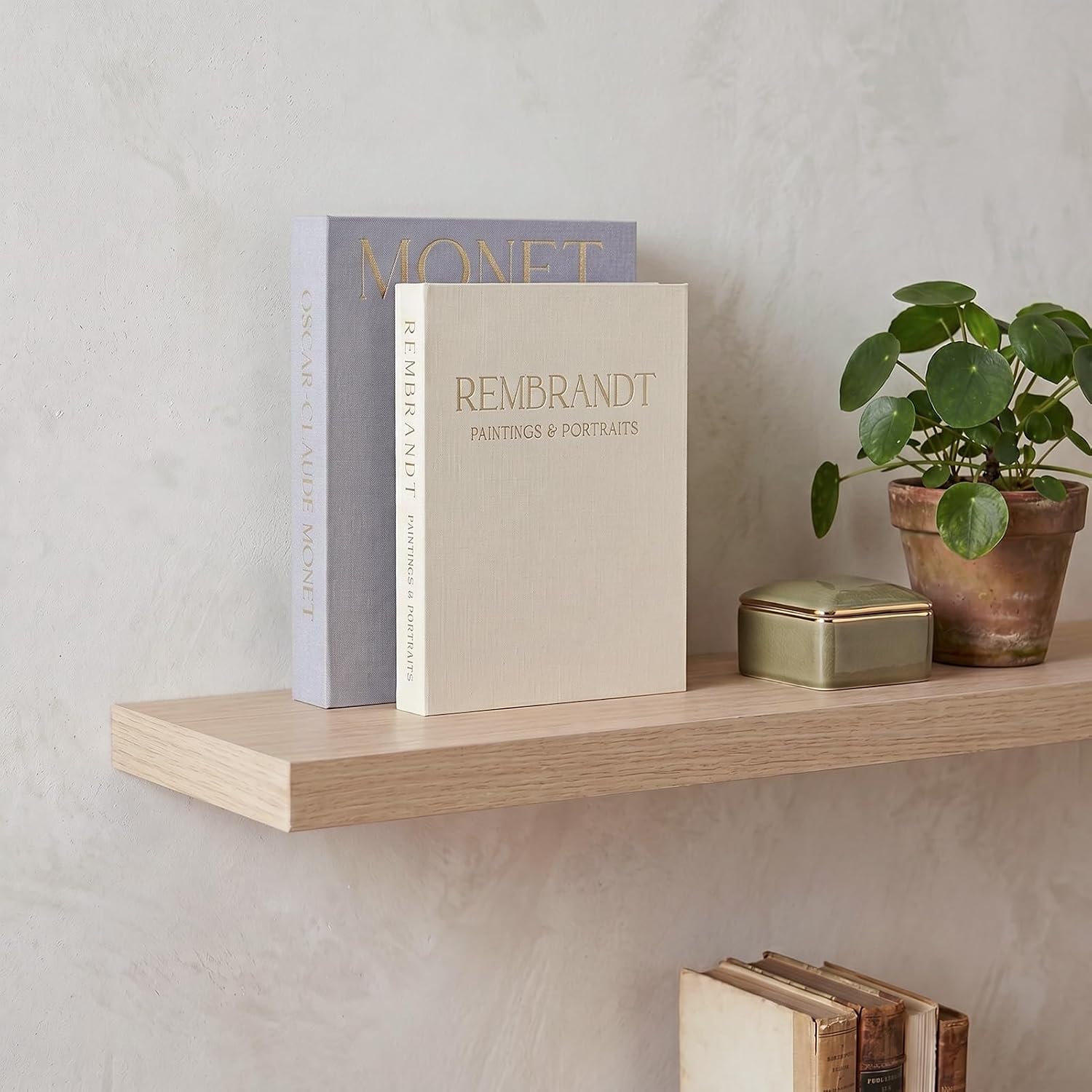 Decorative Book Set Decorative Box / Gray-beige / Set of 2