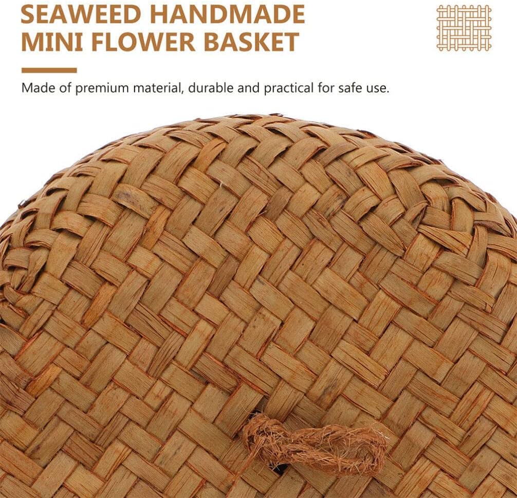 Seagrass Mini Basket / 10 x 11 / CM / Set of 2