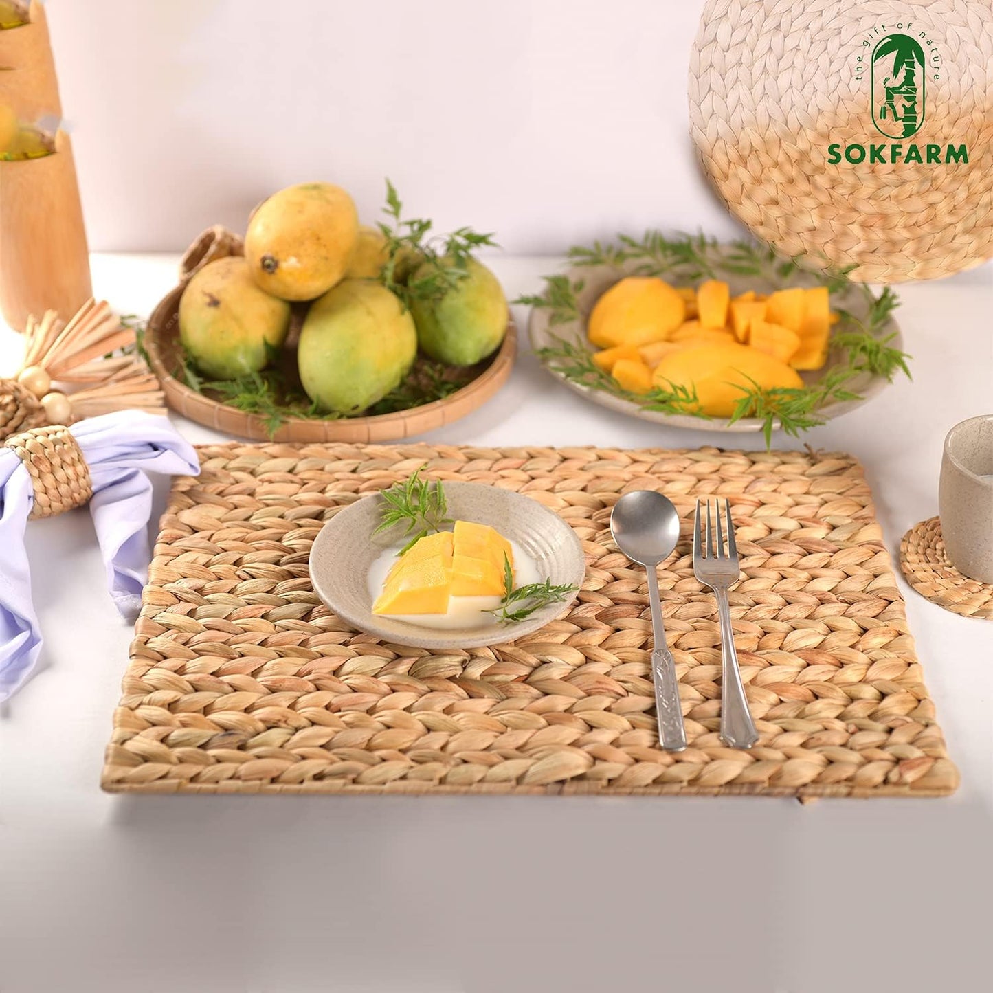 Water Hyacinth Rectangular Placemats Set of 8, Woven Rattan Placemats for Dining Table, Heat Resistant Wicker Table