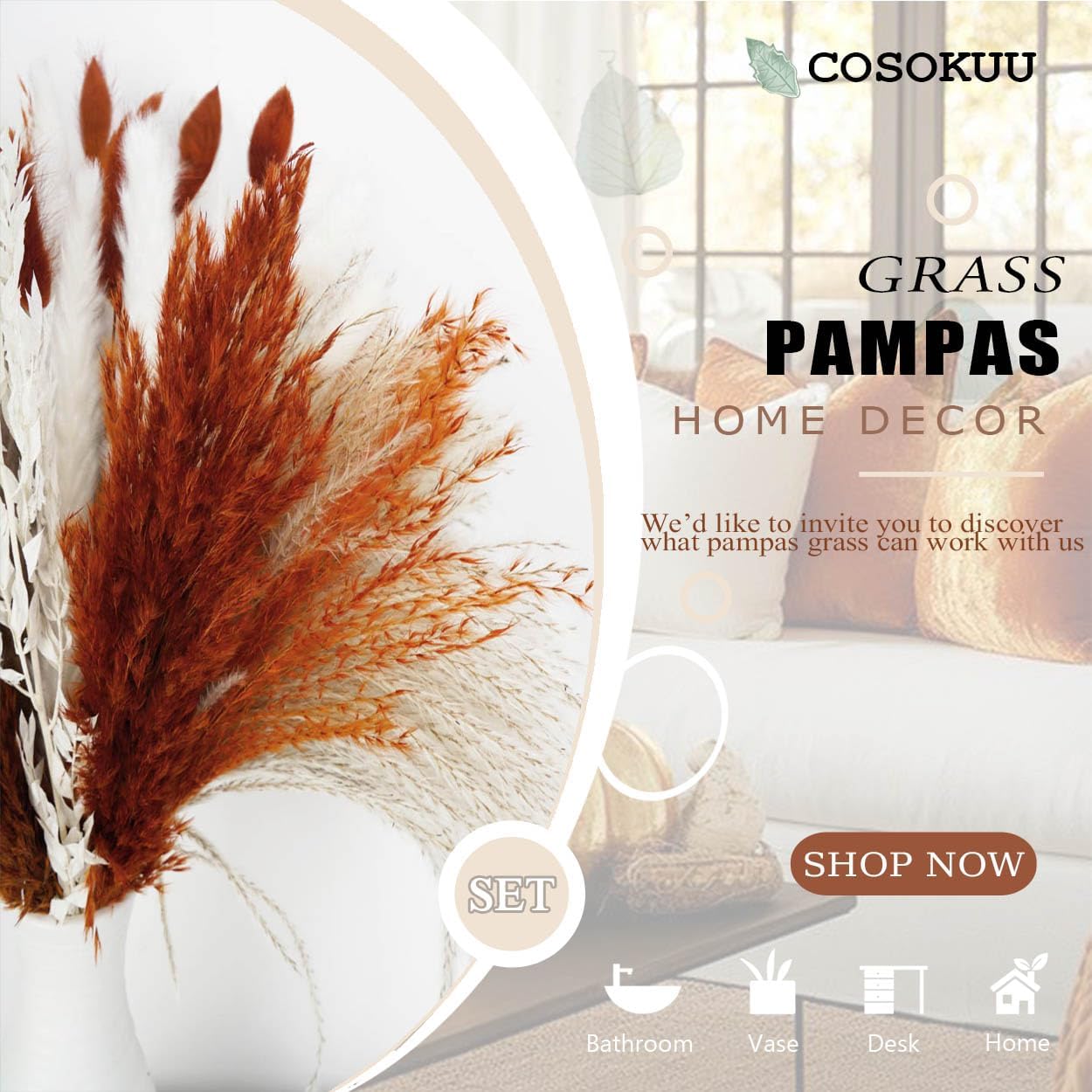 Pampas Grass Dried Flowers for Vase / Mixed Burnt Orange