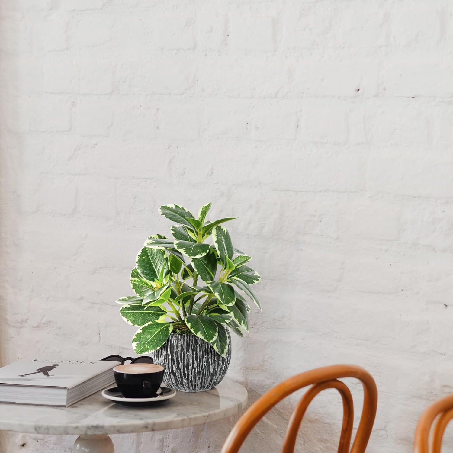 Faux Variegated Oak Leaf Plant / Green#02