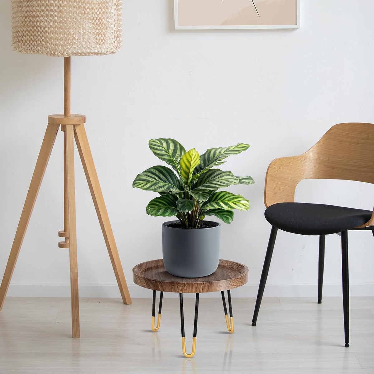 Plant Stand Indoor Outdoor, Mid Century Style Walnut Wood Color Plant Stand,Waterproof Design Modern Plant Table,Easily