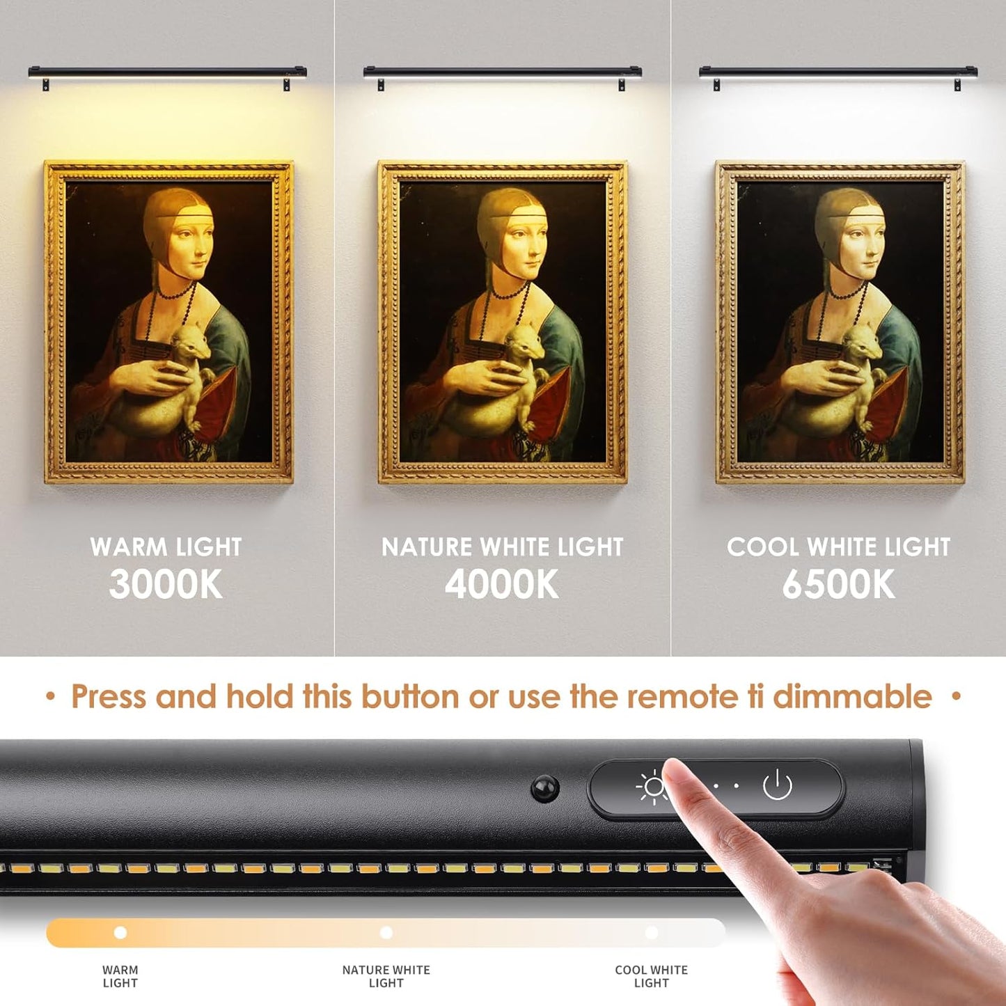 Battery Operated Wireless Picture Light，Rechargeable/Plugged in 31.5inch Painting Display Light,Remote Control Wall