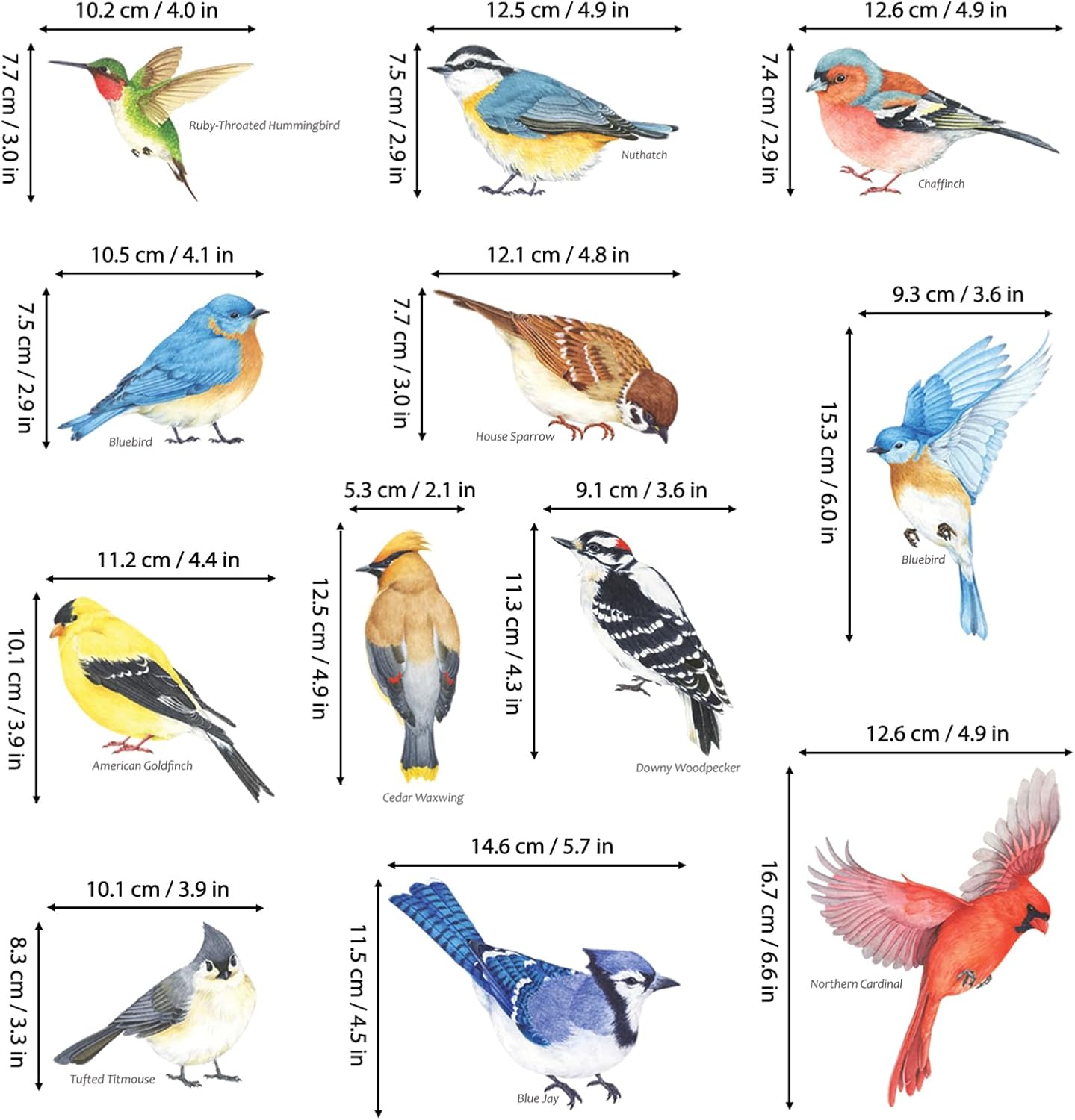 DS2-8042 Little Birds Wall Stickers Wall Decals Peel and Stick Removable Wall Stickers for Kids