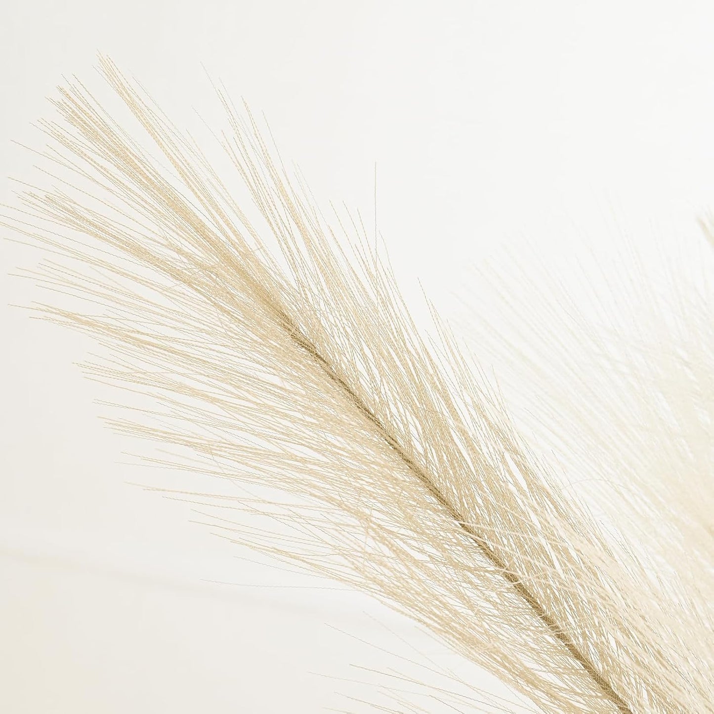 Small Artificial Pampas Grass Decor for Vase / Beige&brown Gradient / 22 / 21.7 Inch / Set of 36