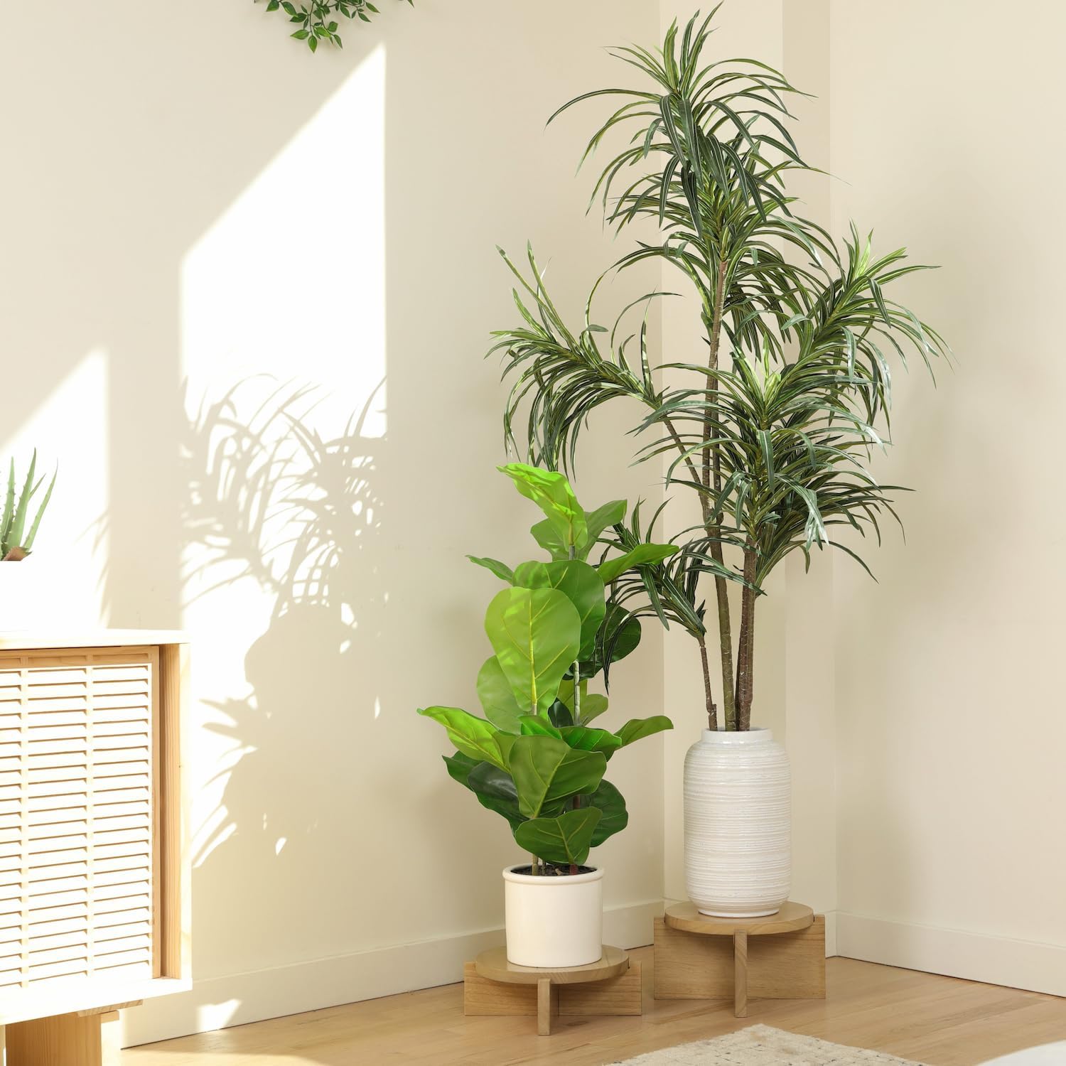 Natural Wood Riser Set of Two - Large 10” Round Wooden Plant Stands Indoor - Wood Pedestal Stands for Plants, Cakes