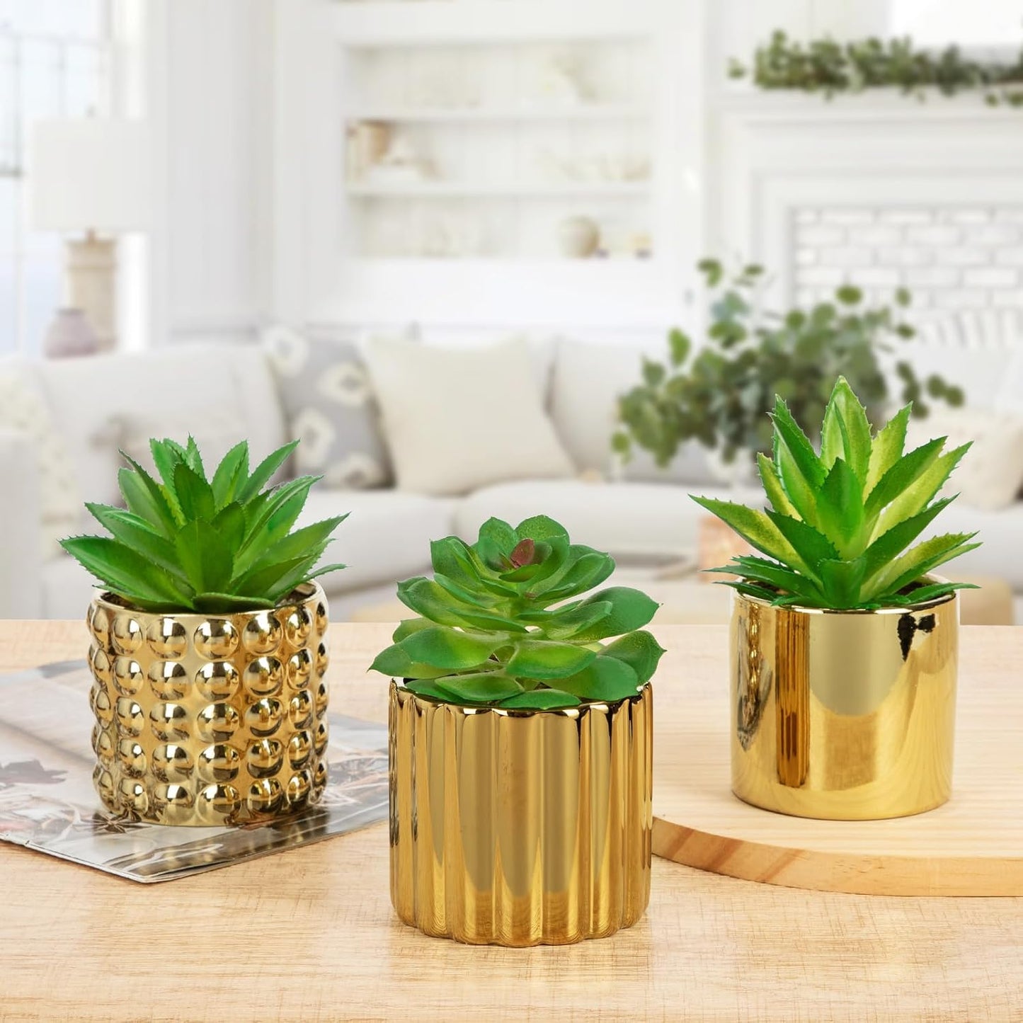 Succulents Plants Artificial in Ceramic Pots / Gold / Set of 3